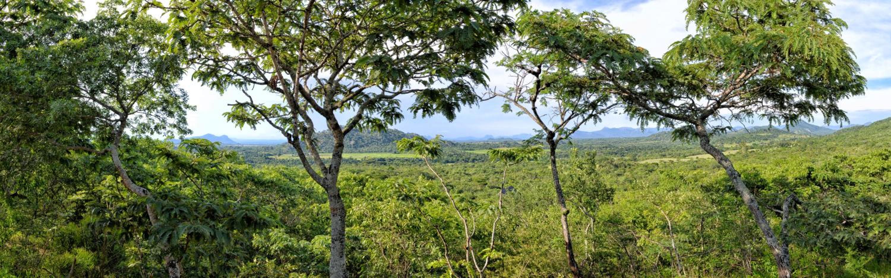 Musangano Lodge
