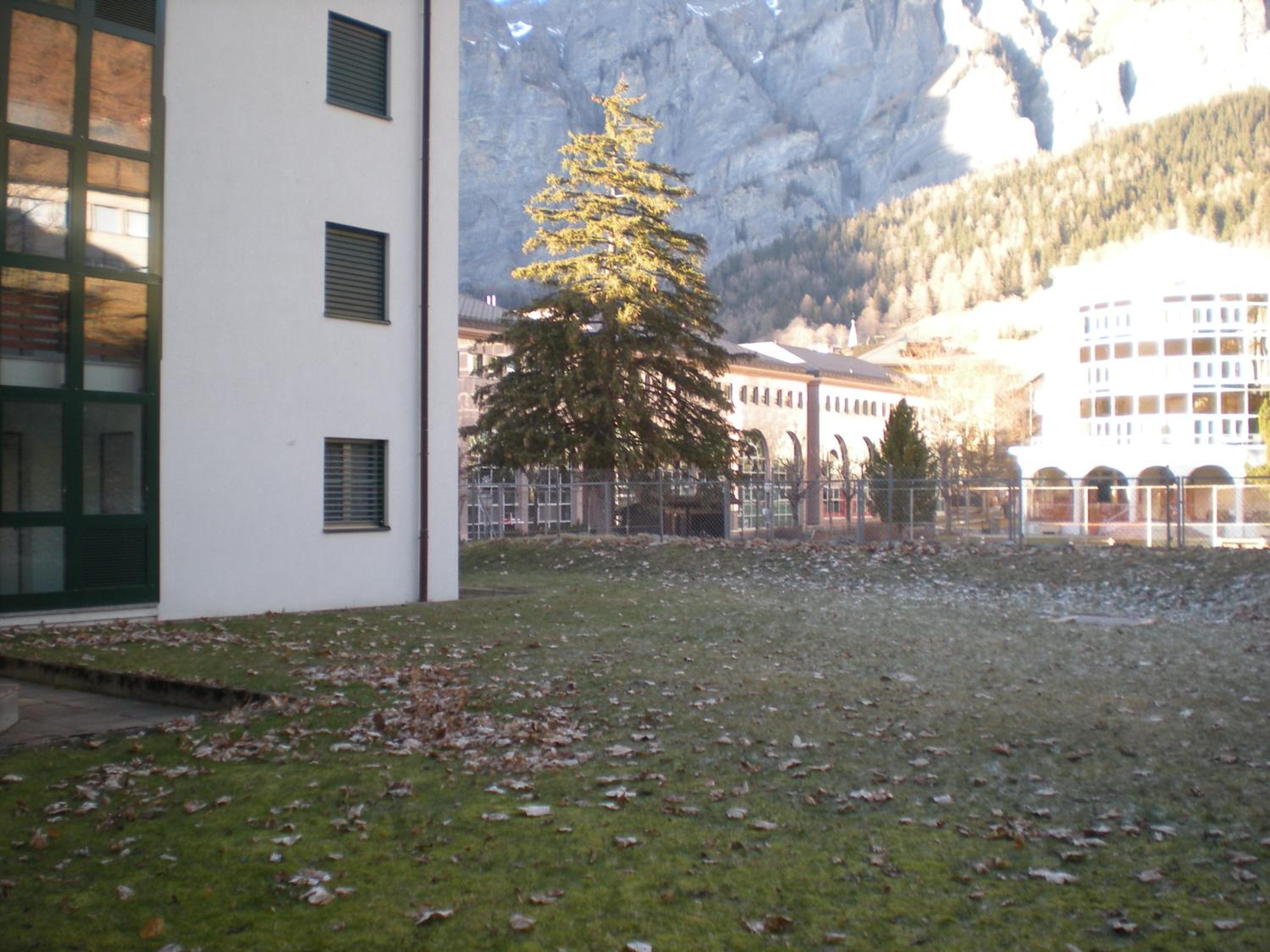 Photo 41