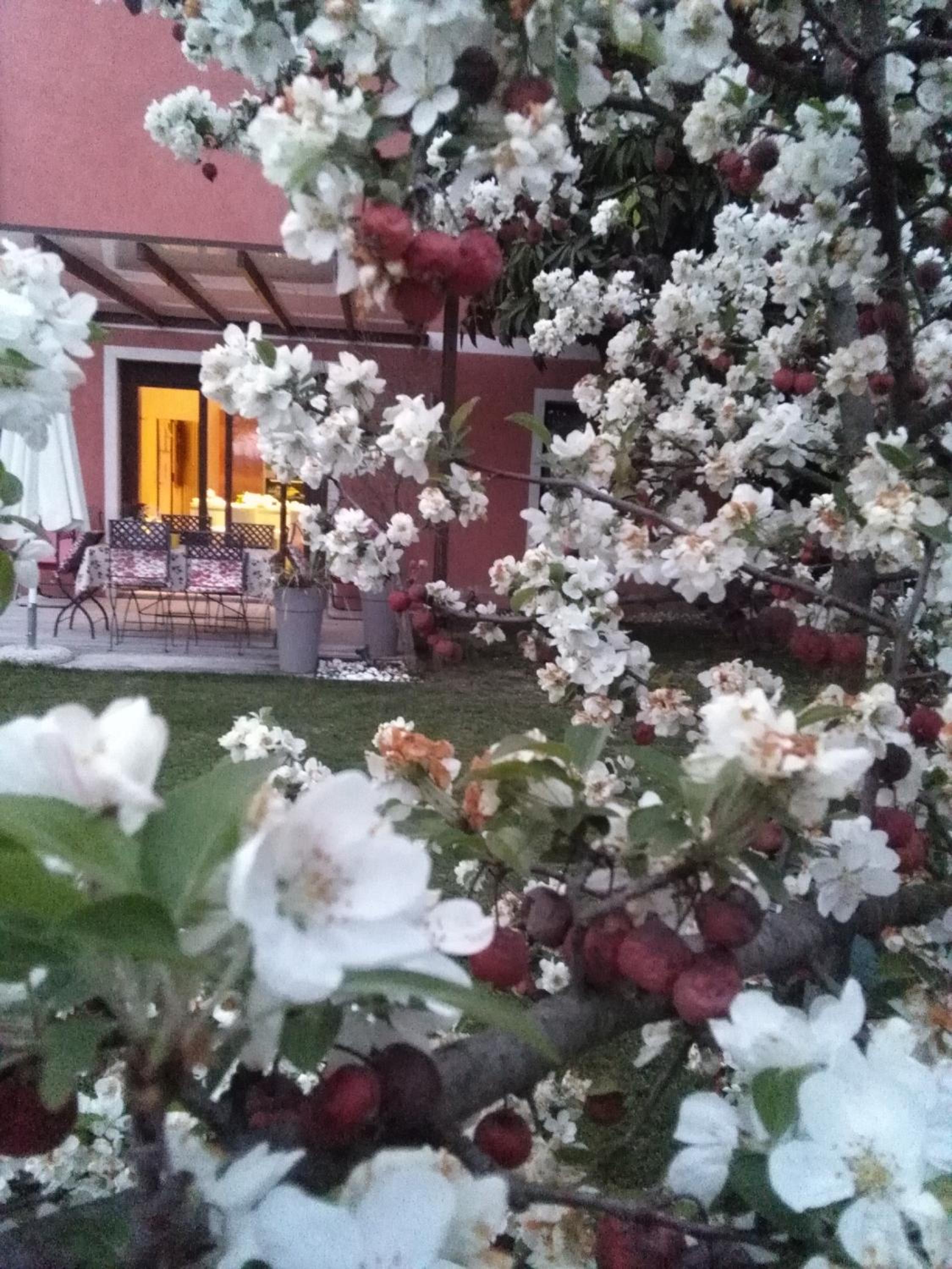 B&B Terre Di Bea