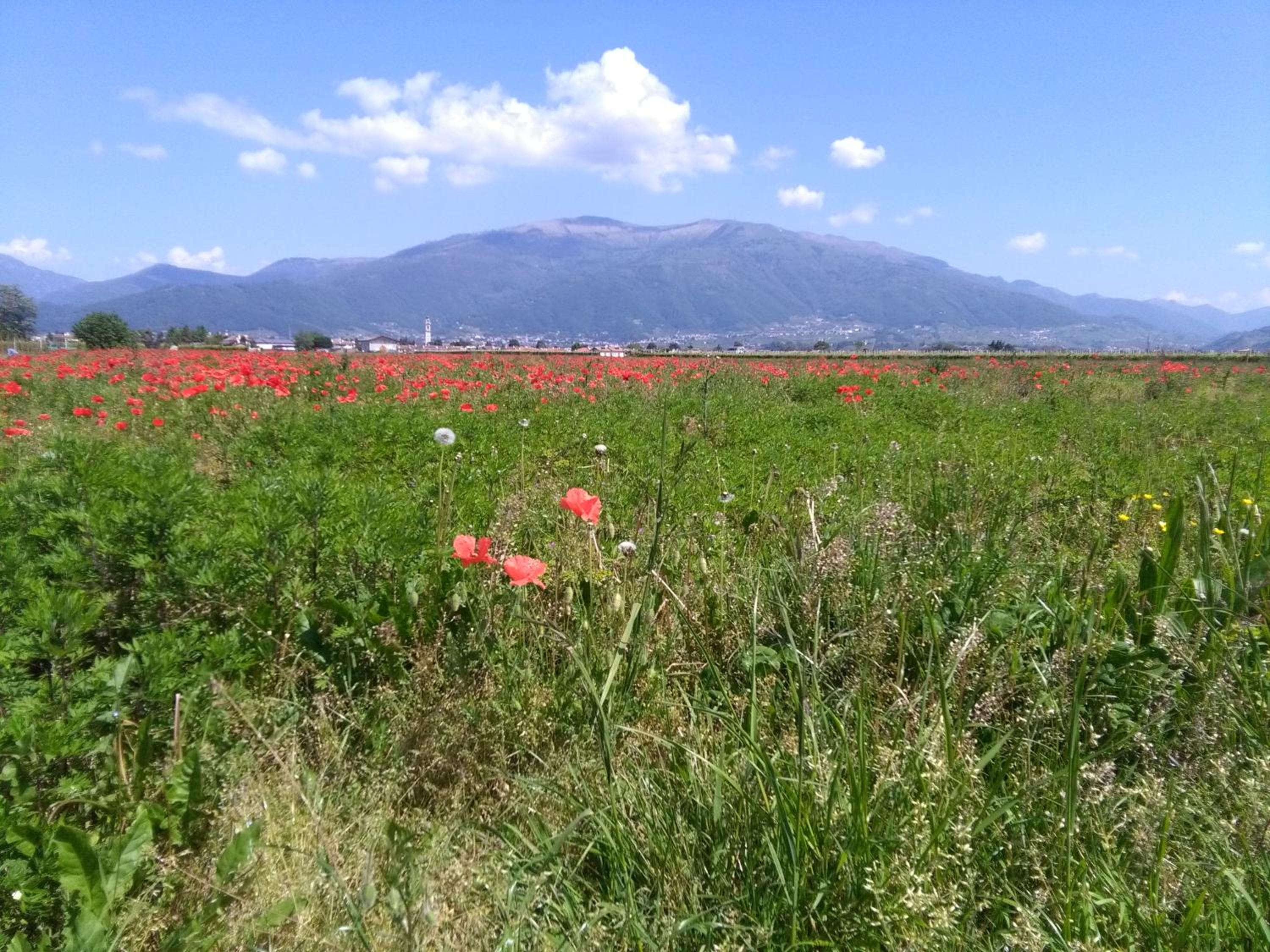 B&B Terre Di Bea