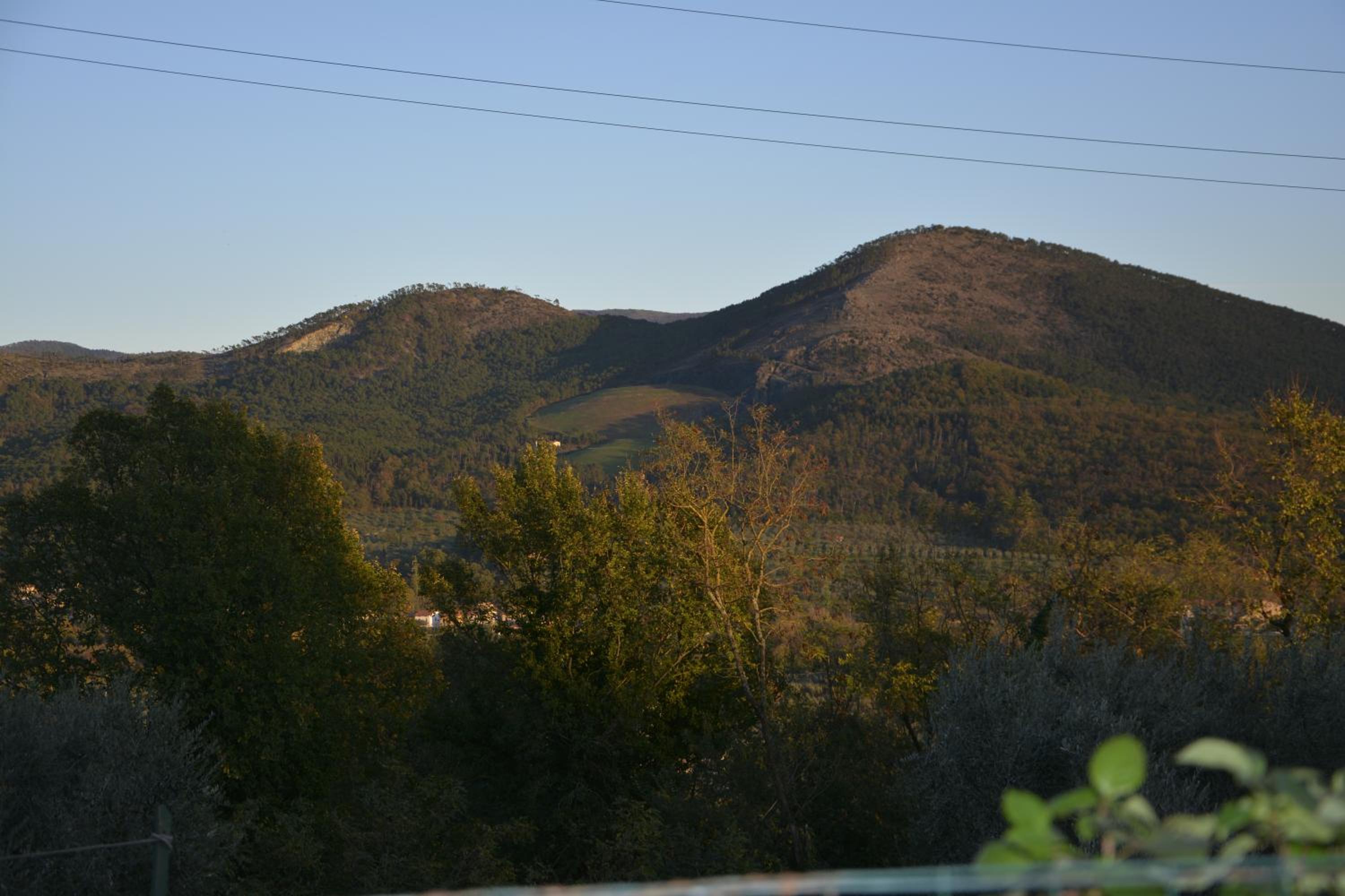 Photo 52
