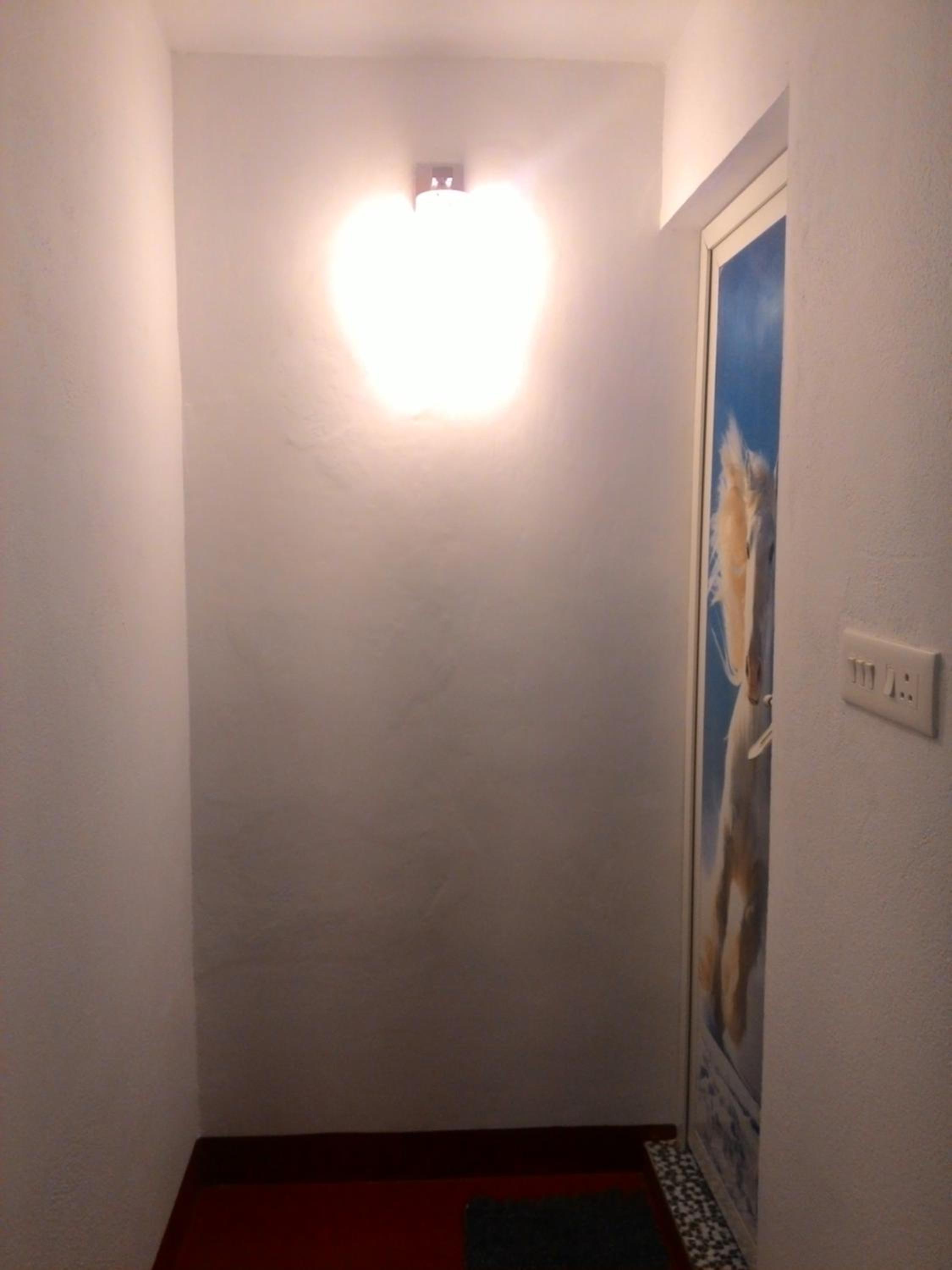 Photo 62