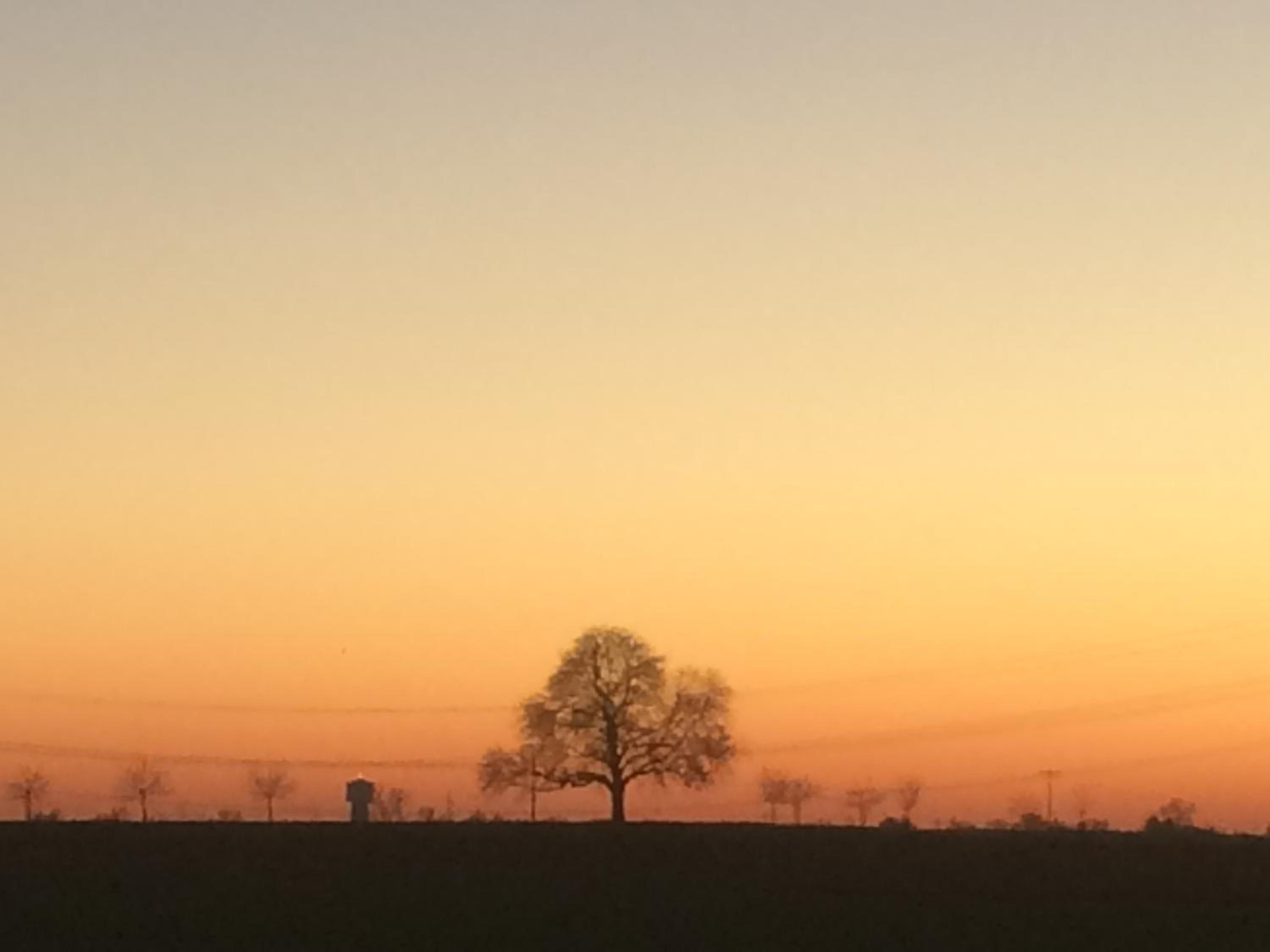 Alte Heimat