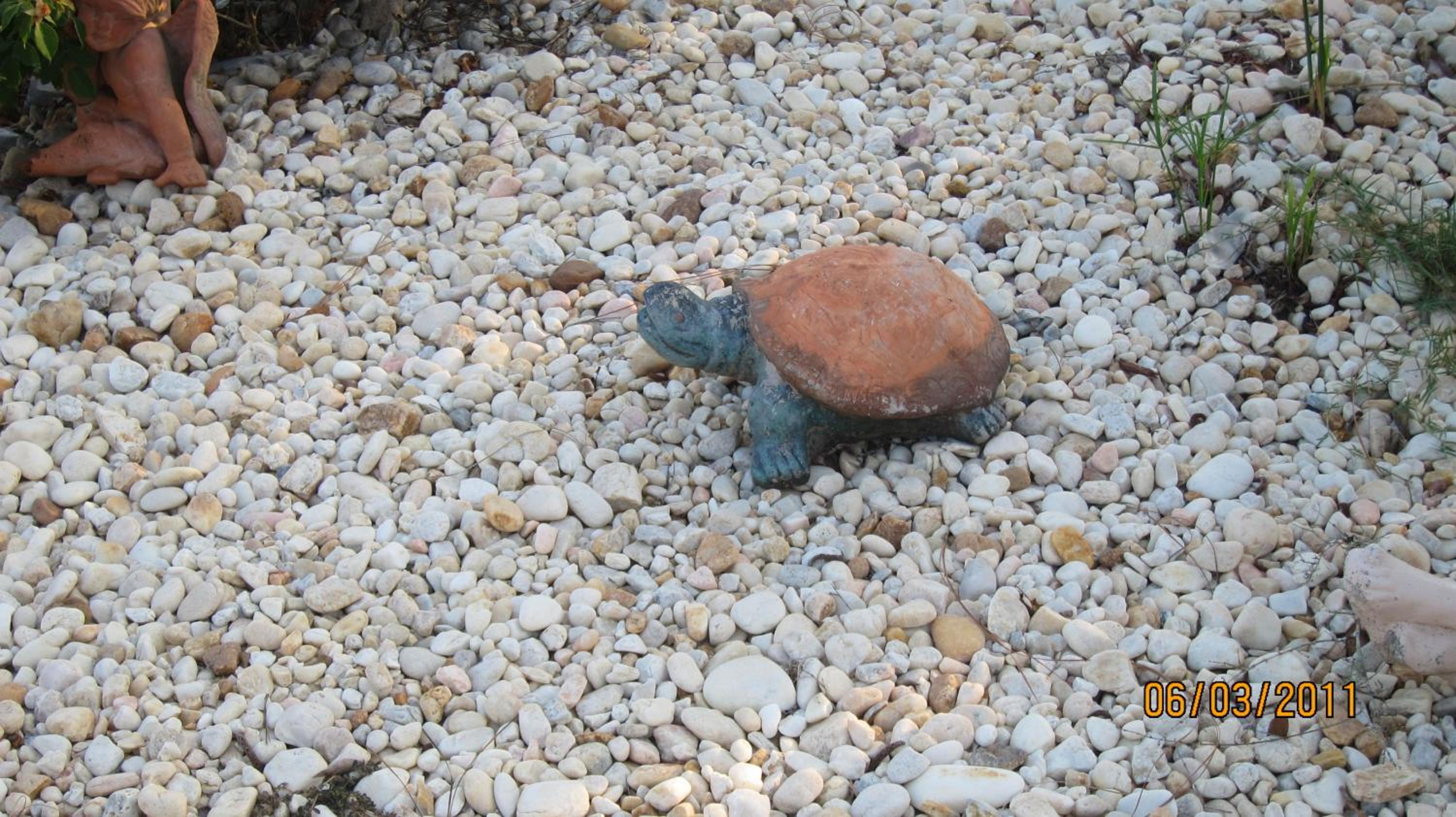 High Springs Country Inn - Property Image 11