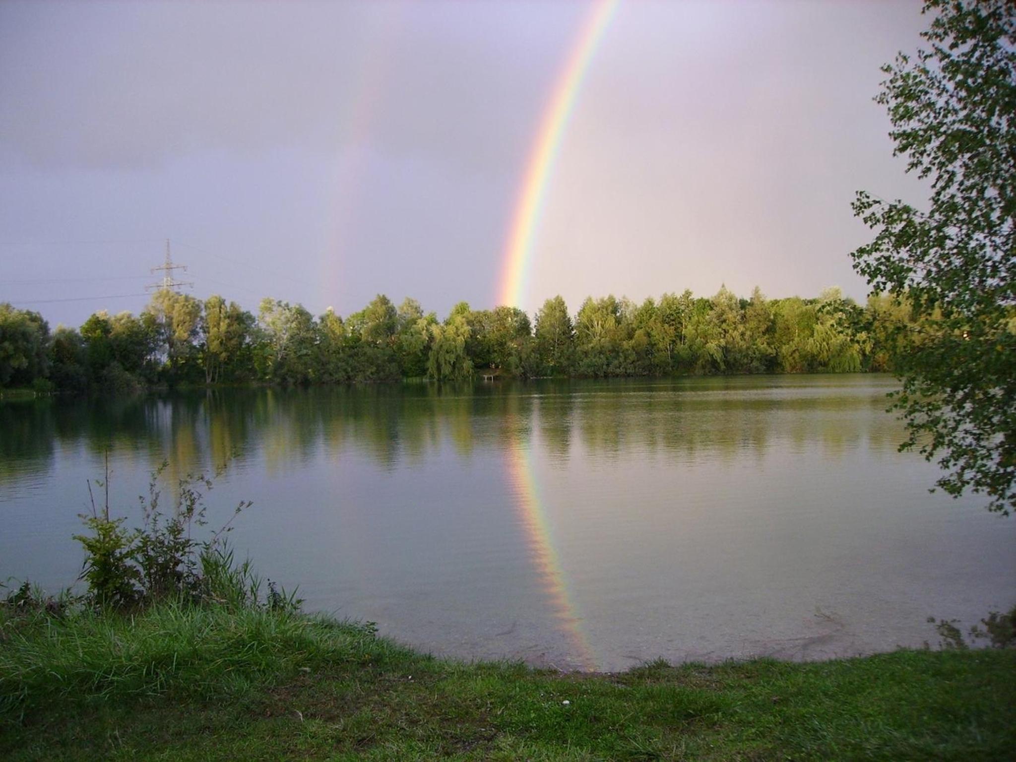 Photo 28