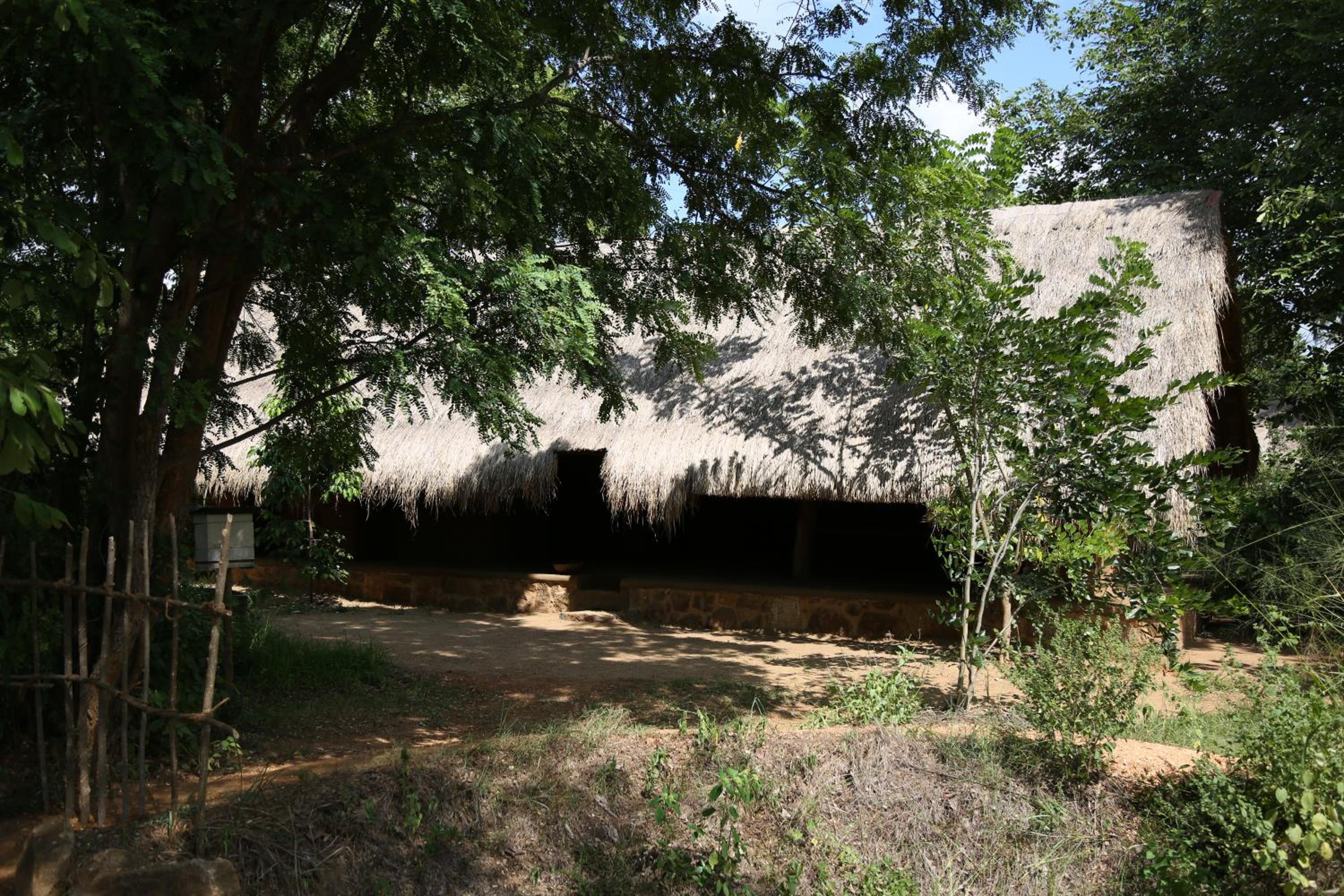 Photo 81