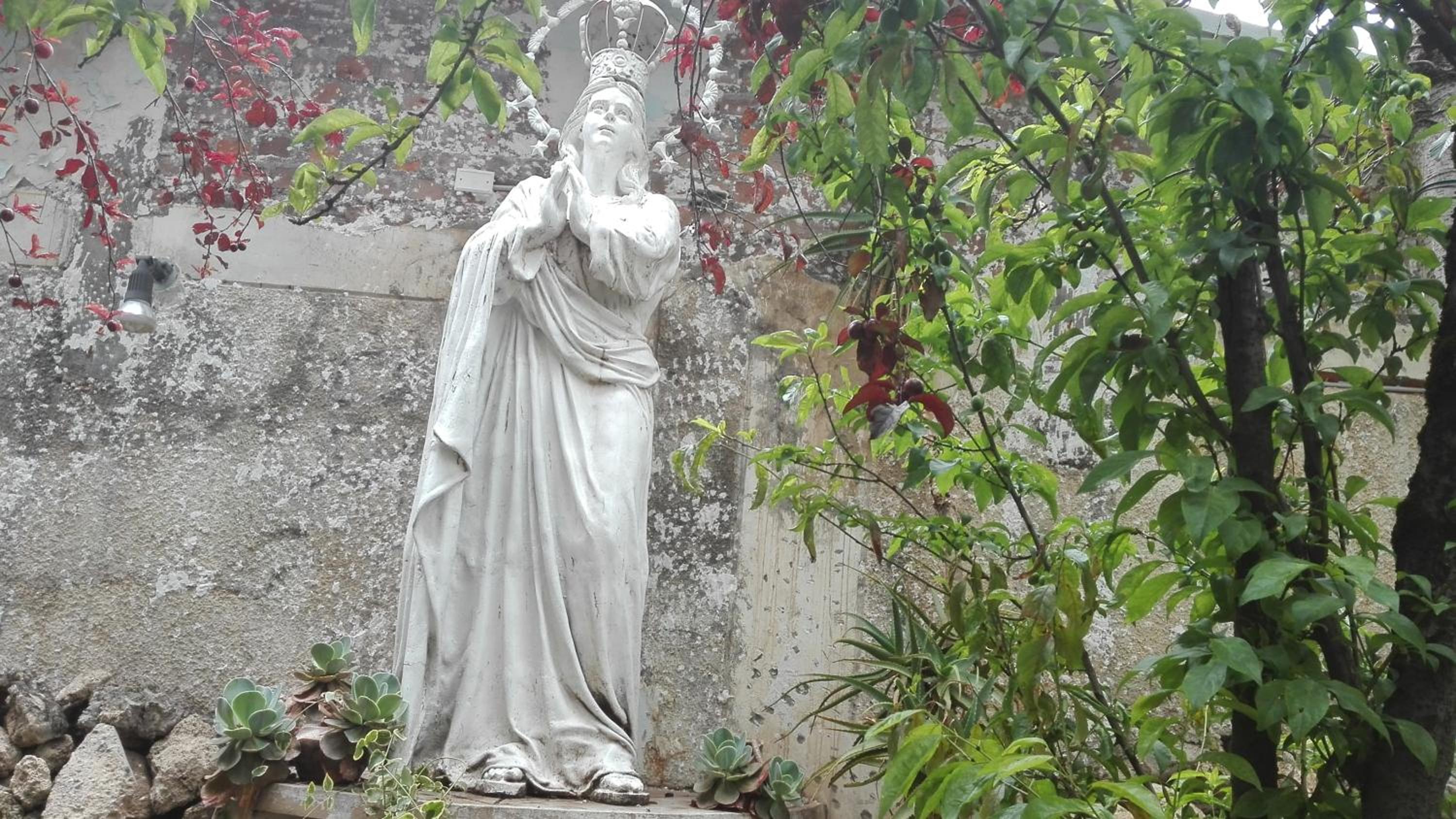 Photo 32