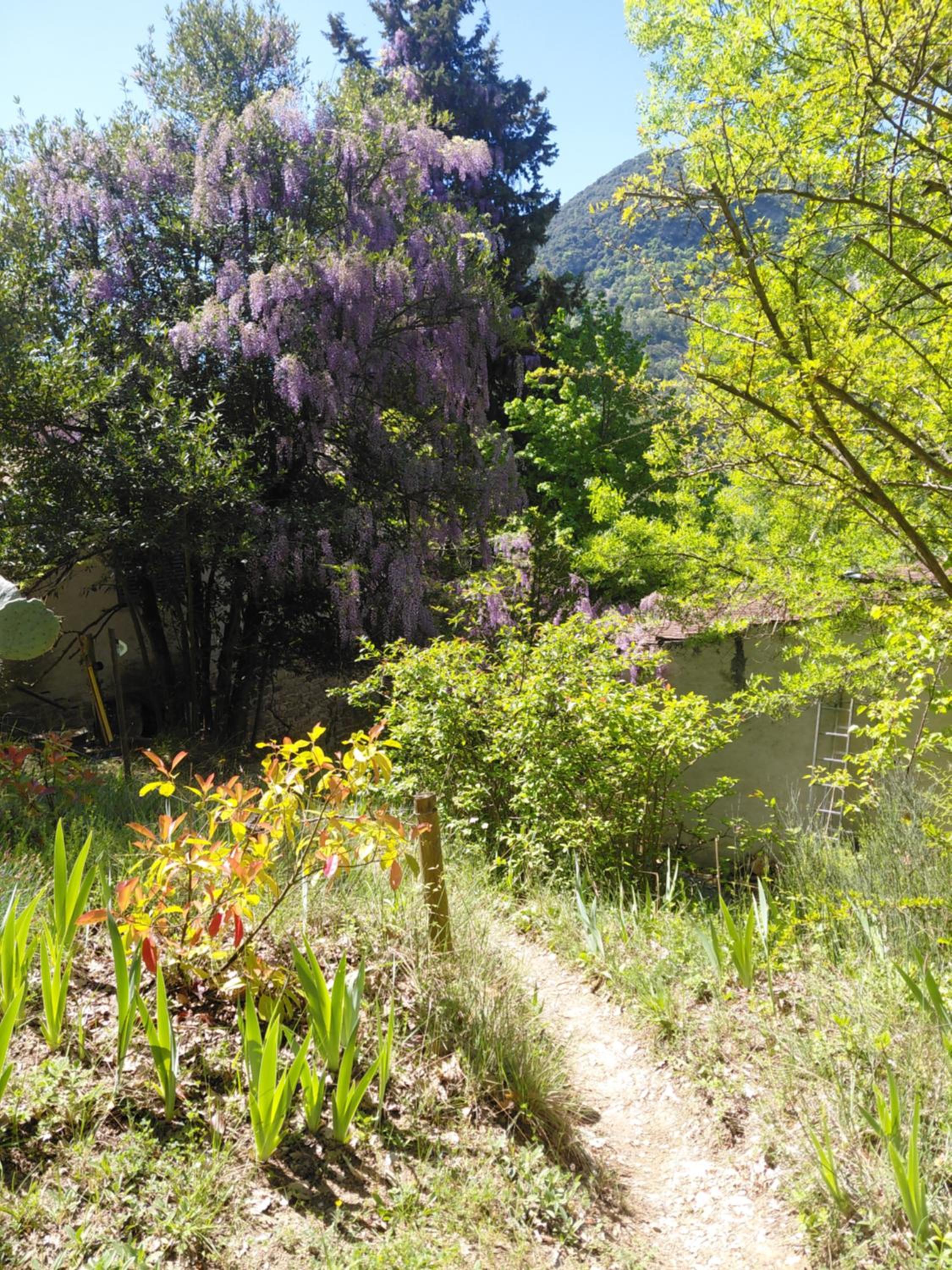 Roulotte, photo 13