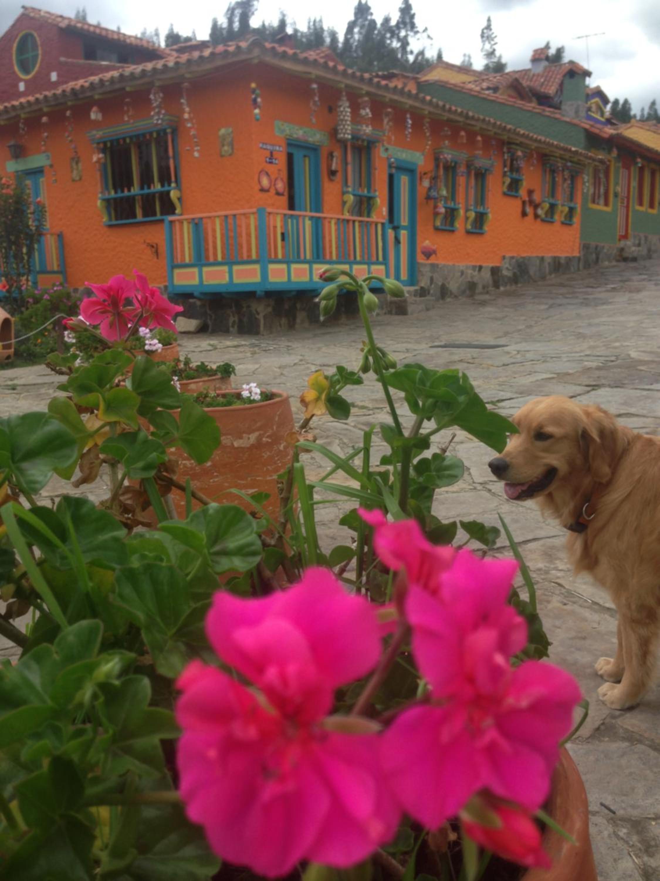 Casa Posada Maestro Carlos Aranguren