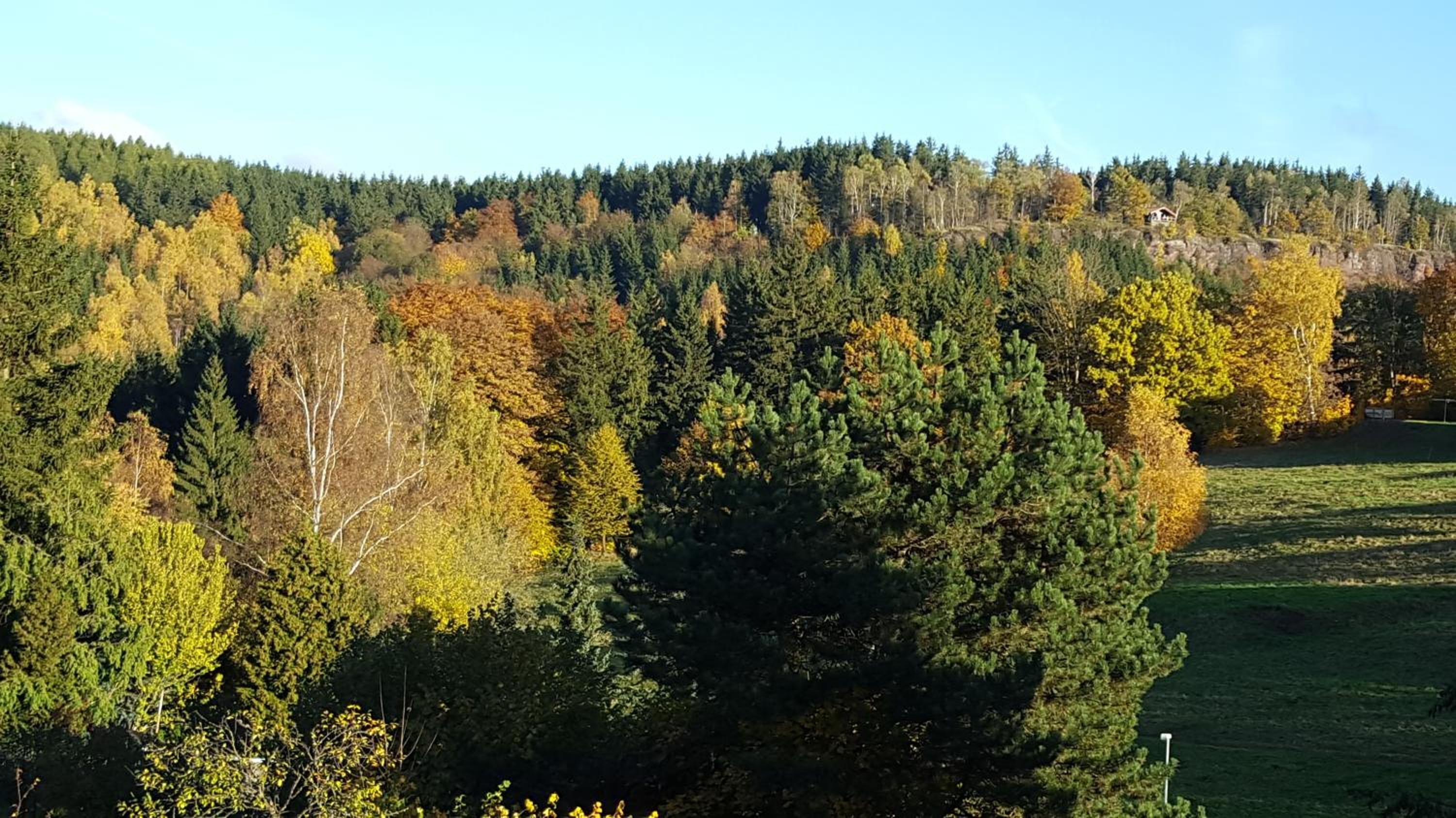 Moderne Komfortwohnung im Kurort am Rennsteig