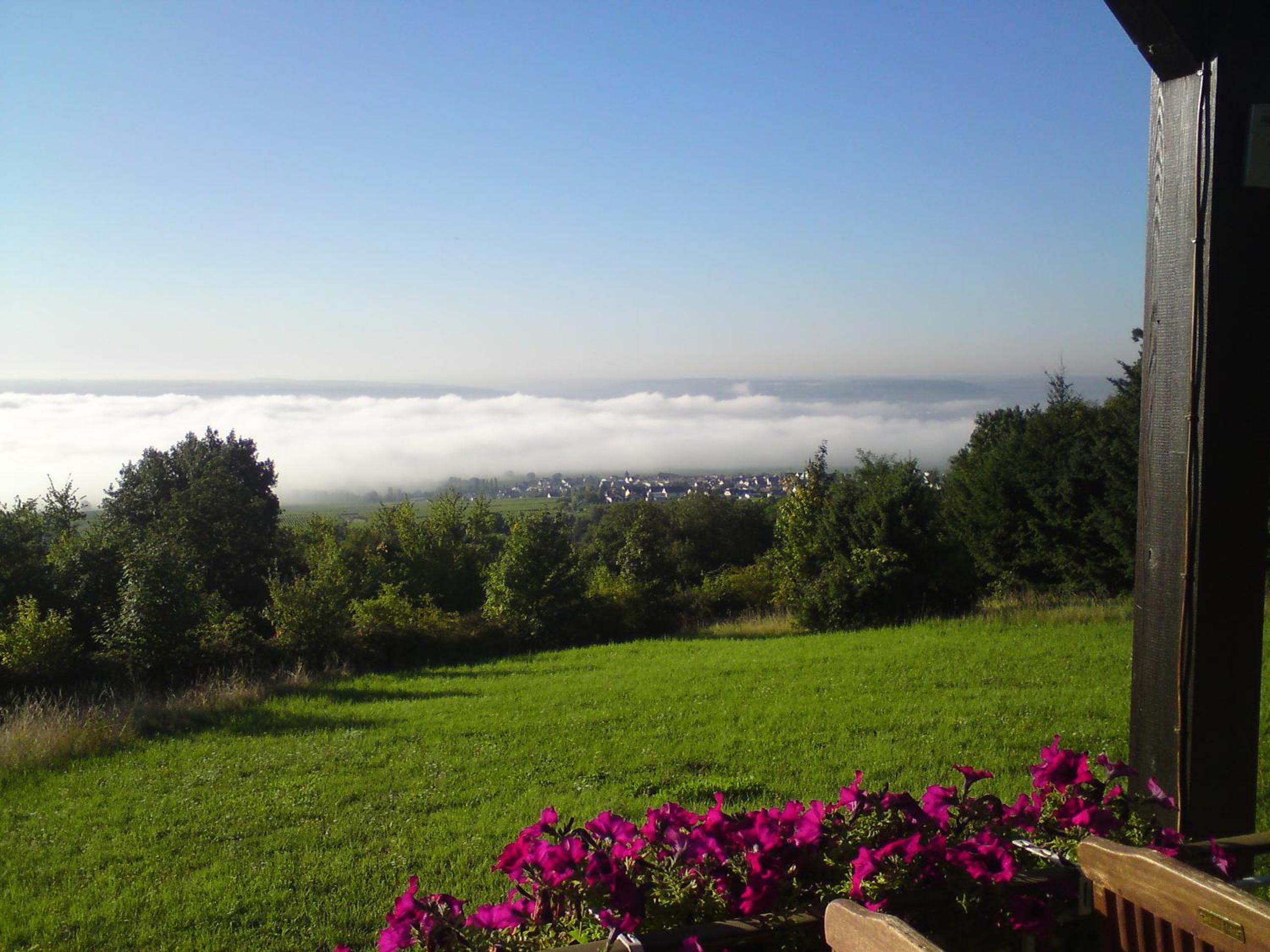 Zum Rebhang Bed & Breakfast