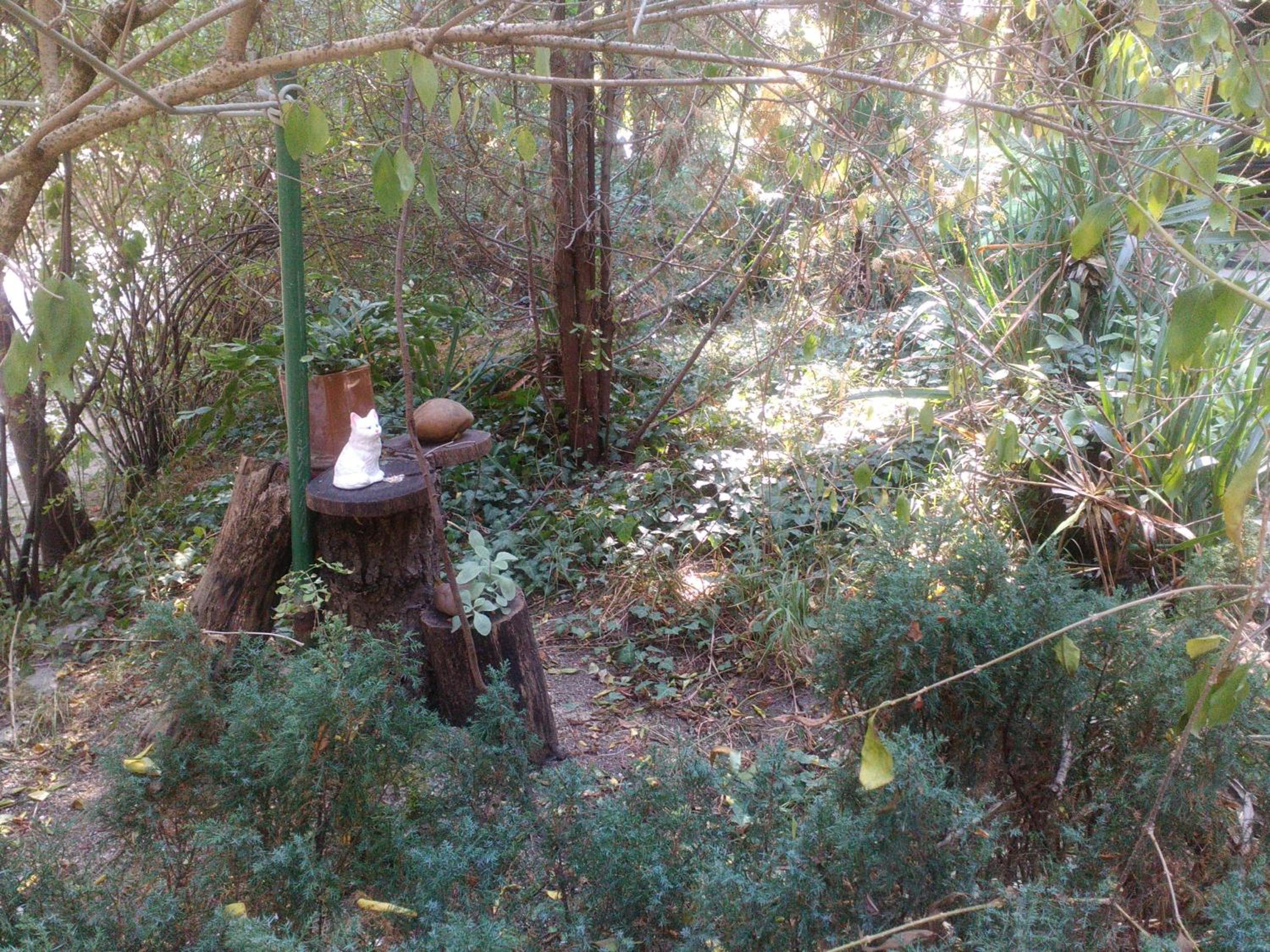 Photo 29