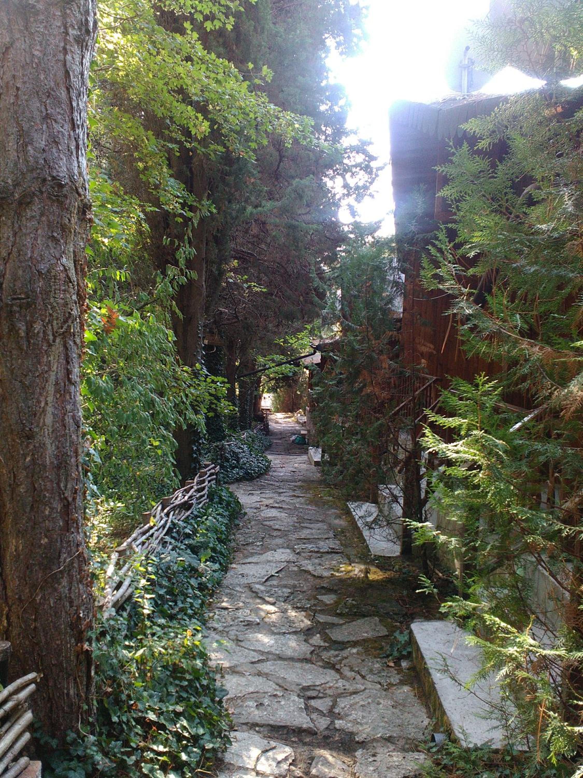 Photo 23