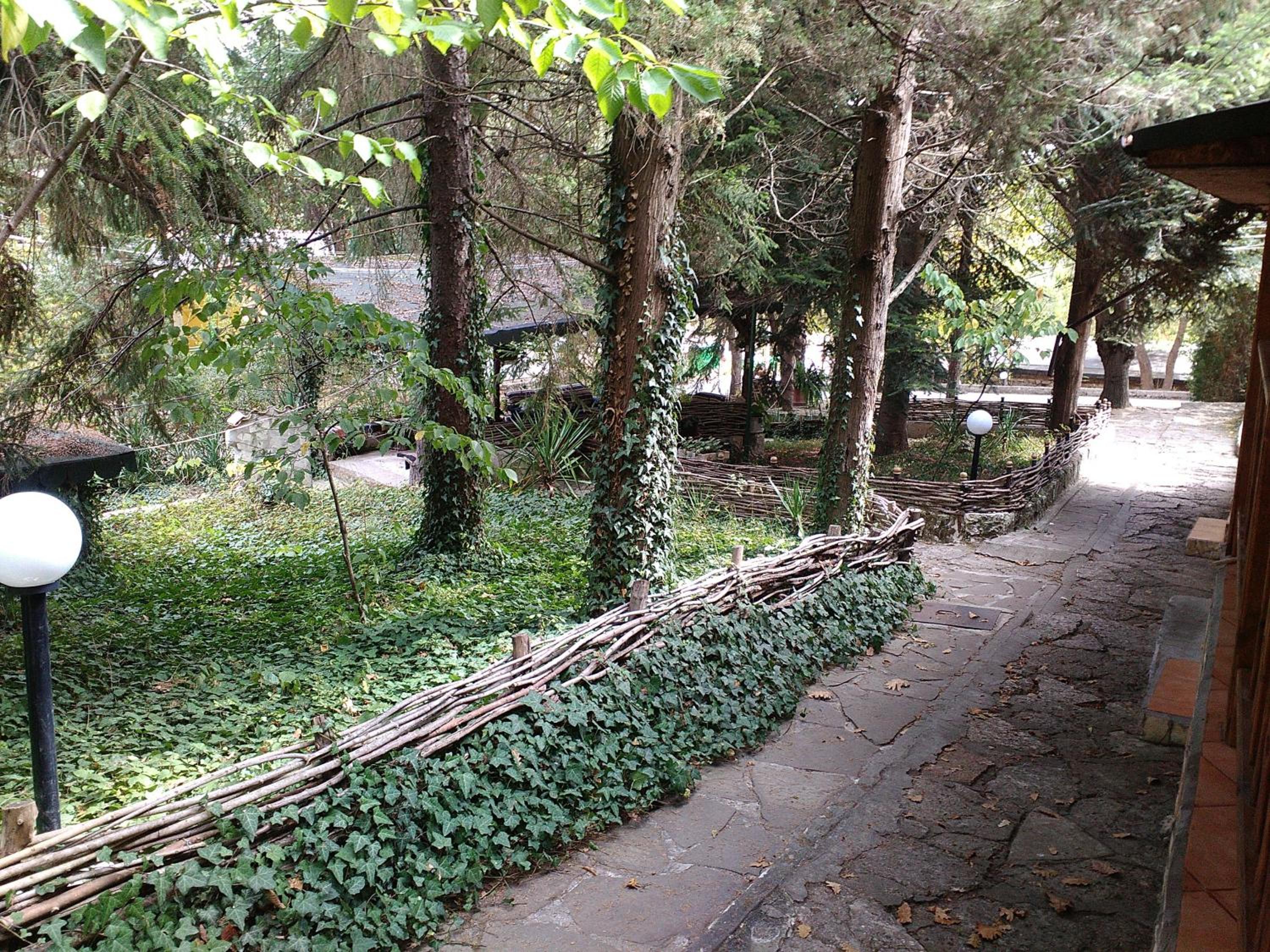 Photo 22