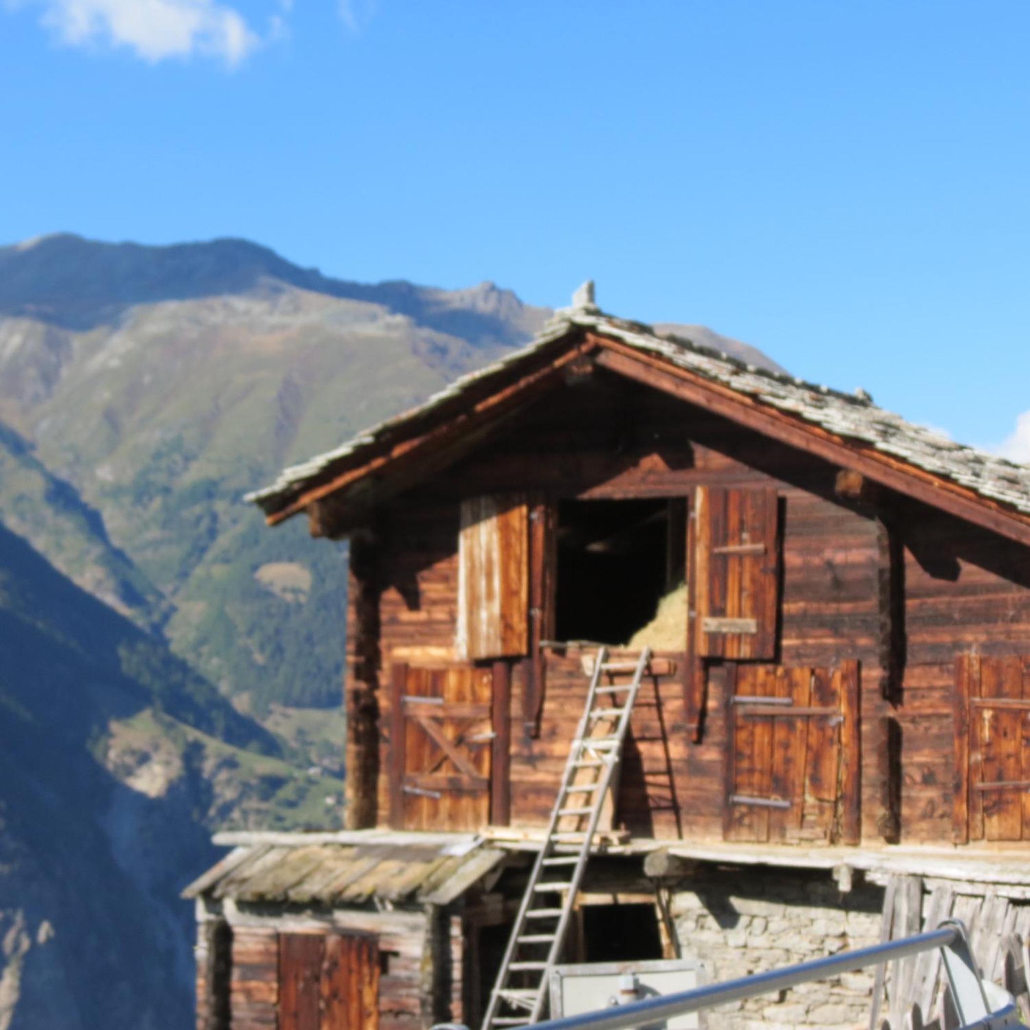 Chalet Safran