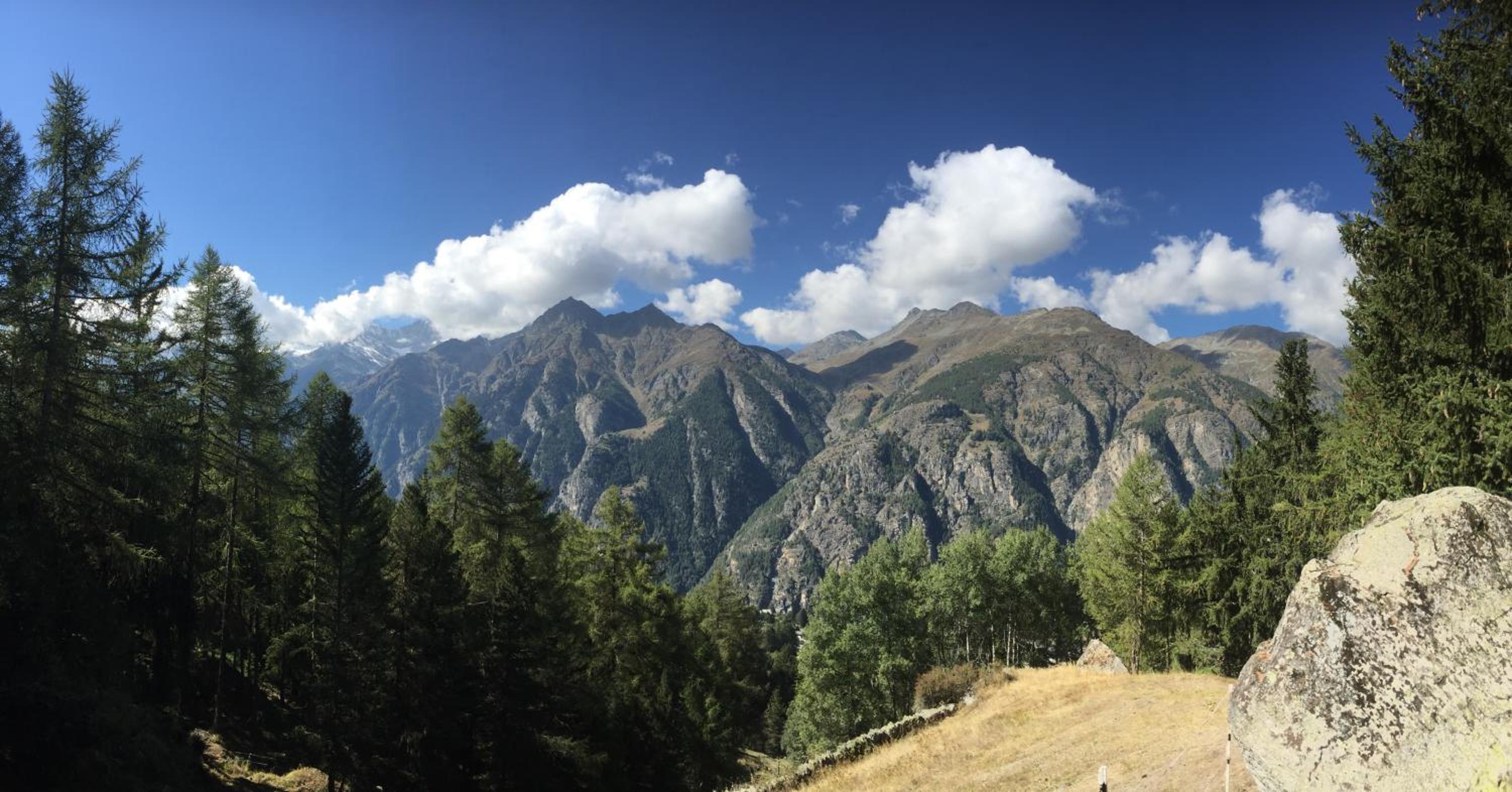 Chalet Safran