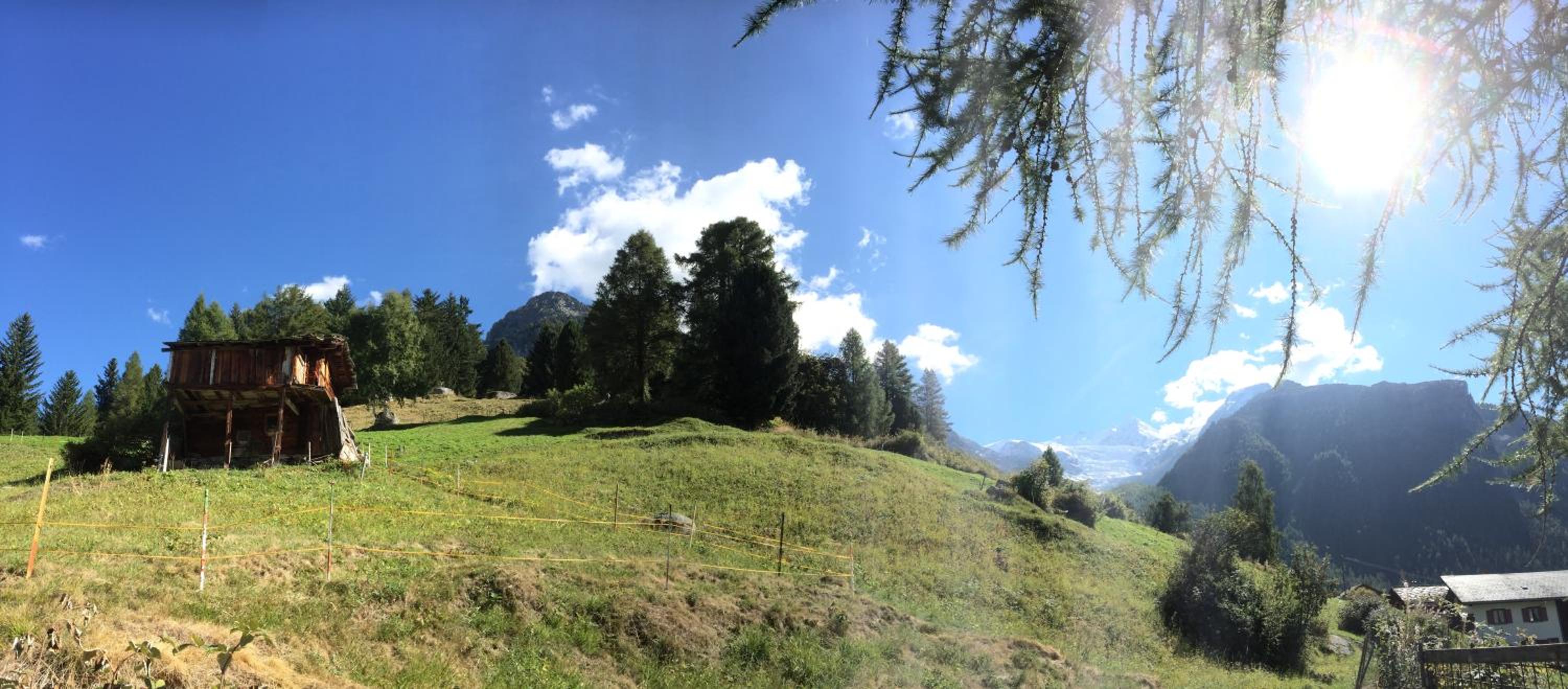 Chalet Safran