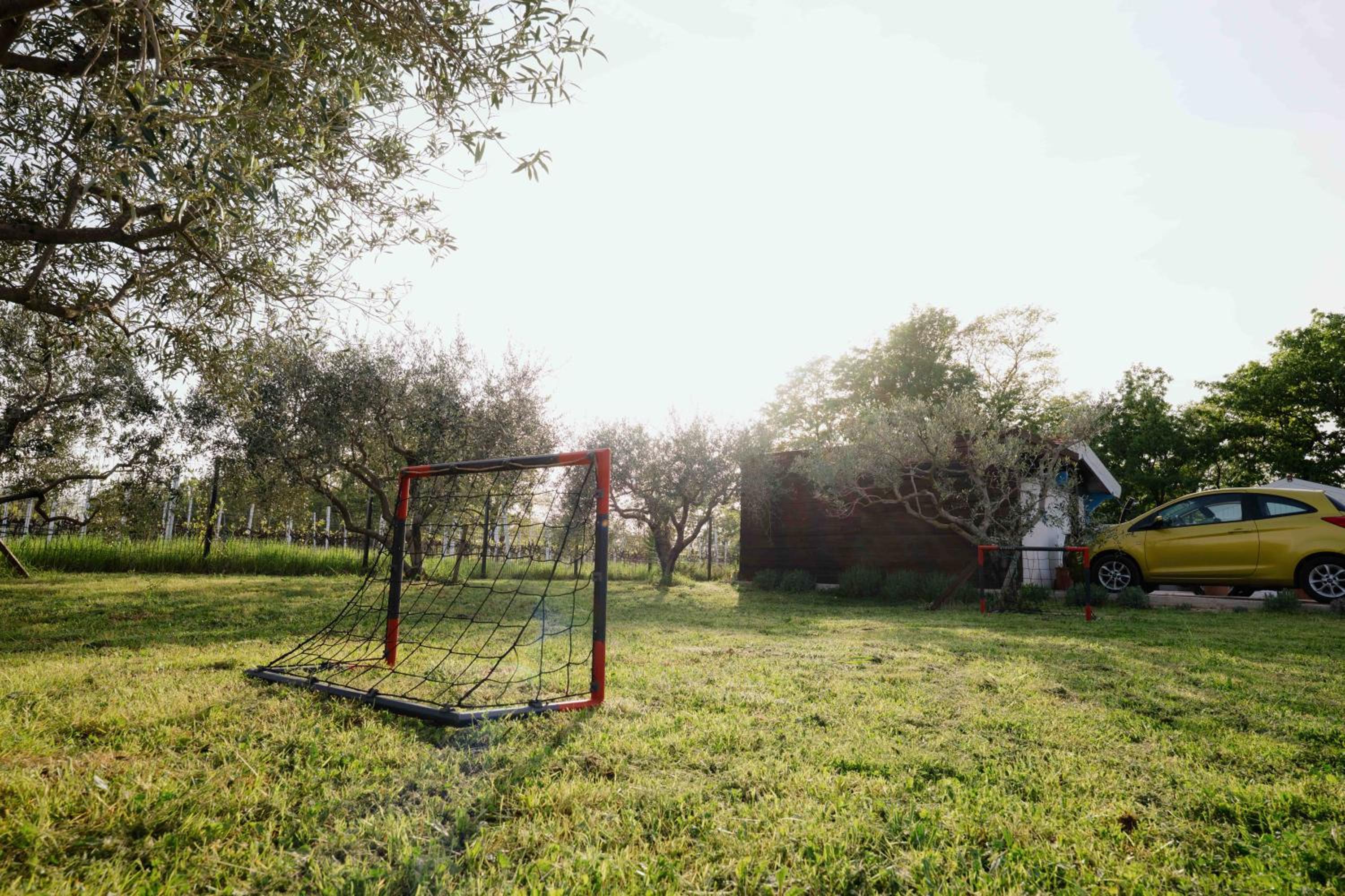 Photo 36