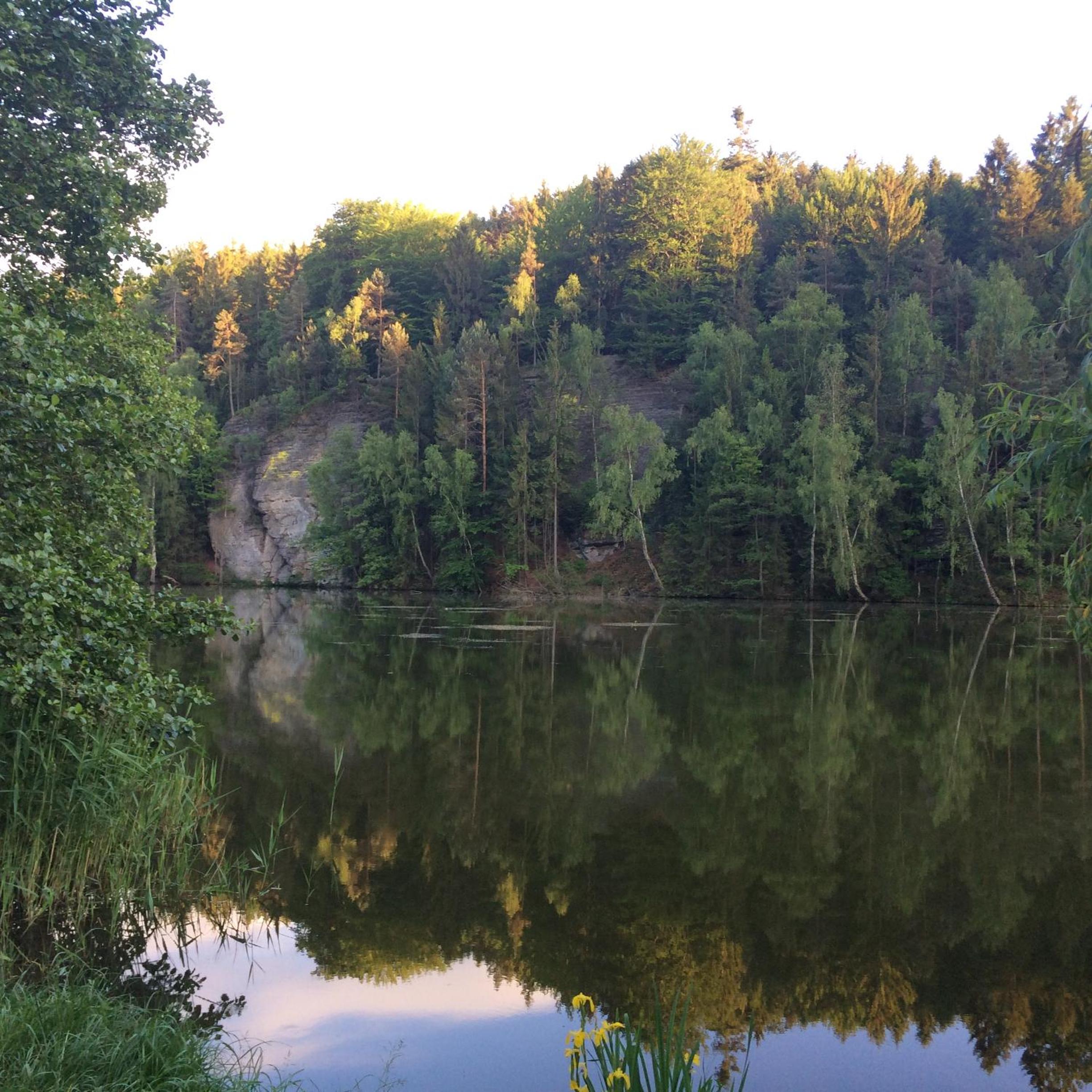 Photo 33