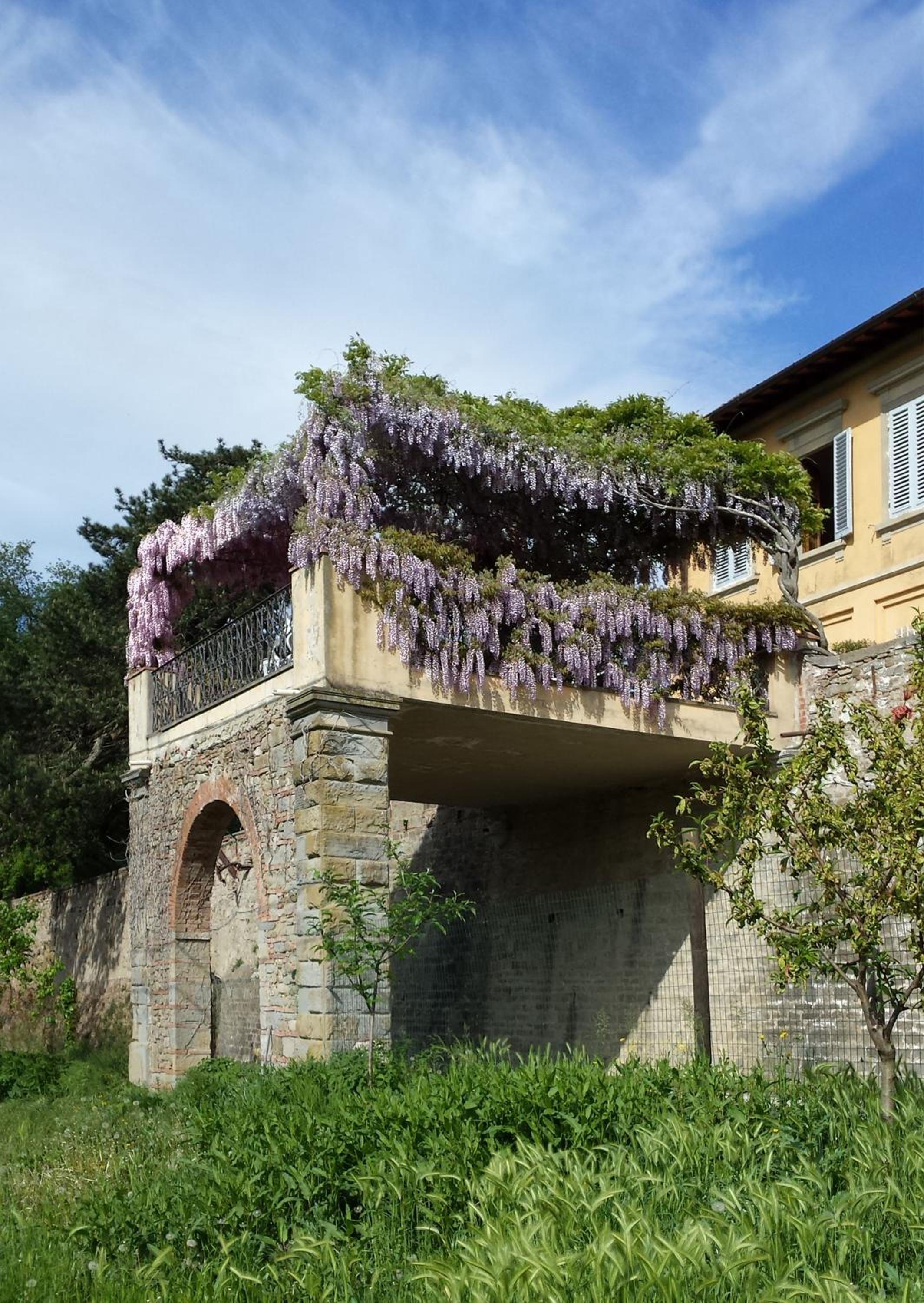 Villa I Delfini view 4