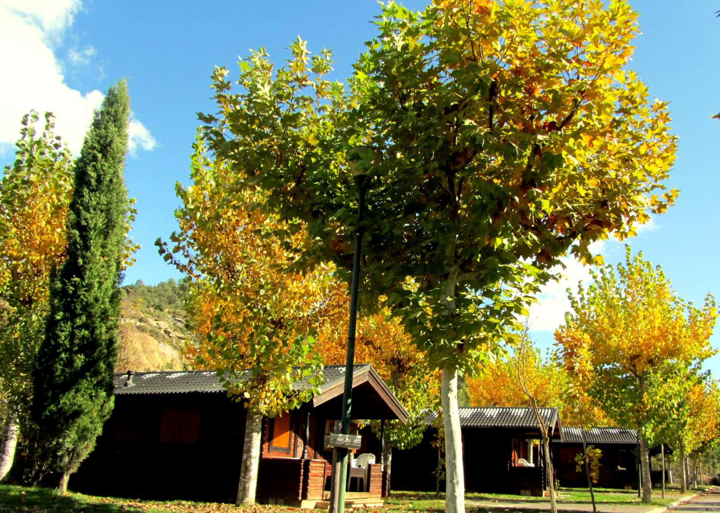 Camping y Bungalow Ligüerre de Cinca,