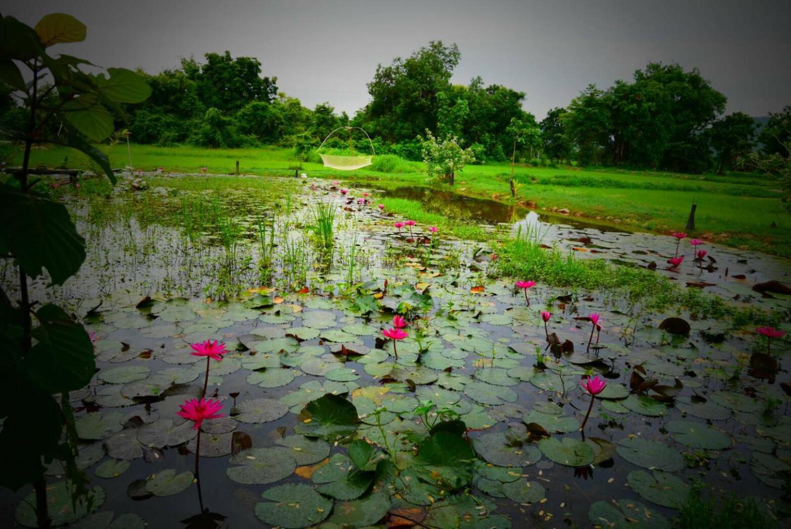 Sukhothai City Resort