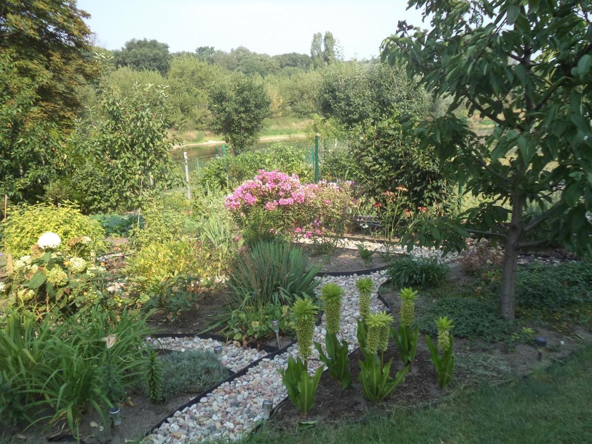 Photo 24