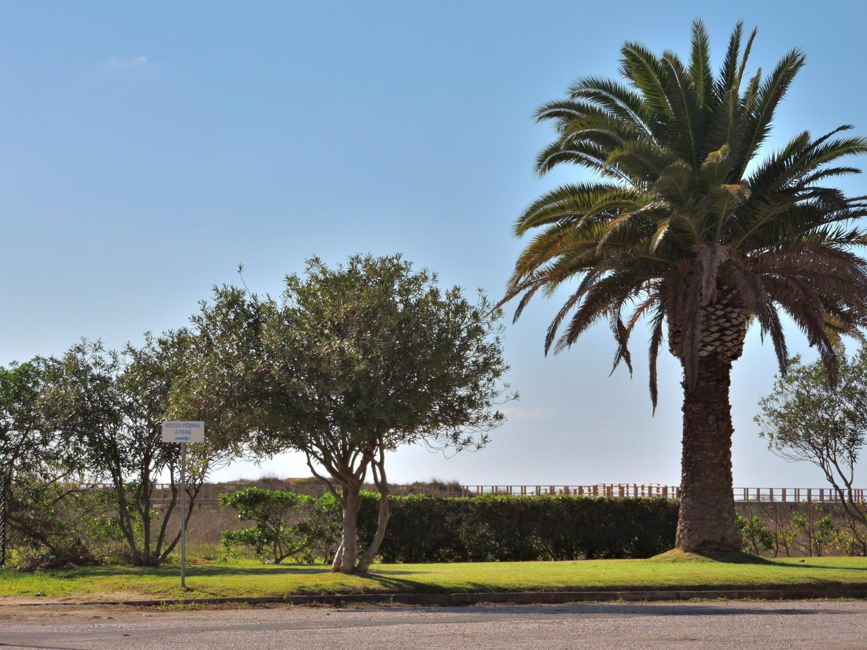 Barinel Ocean Breeze