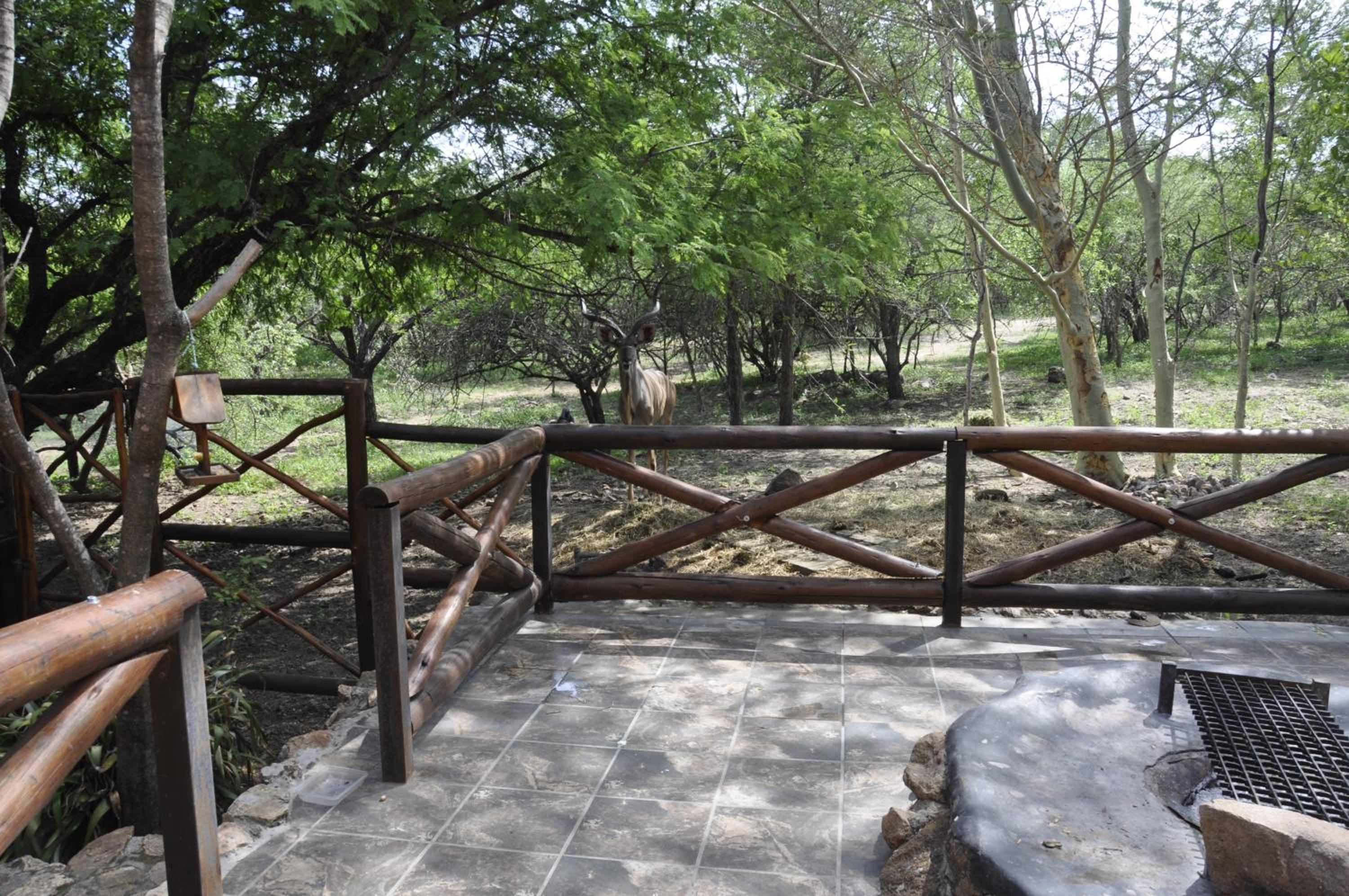 Milkwood Holiday Home