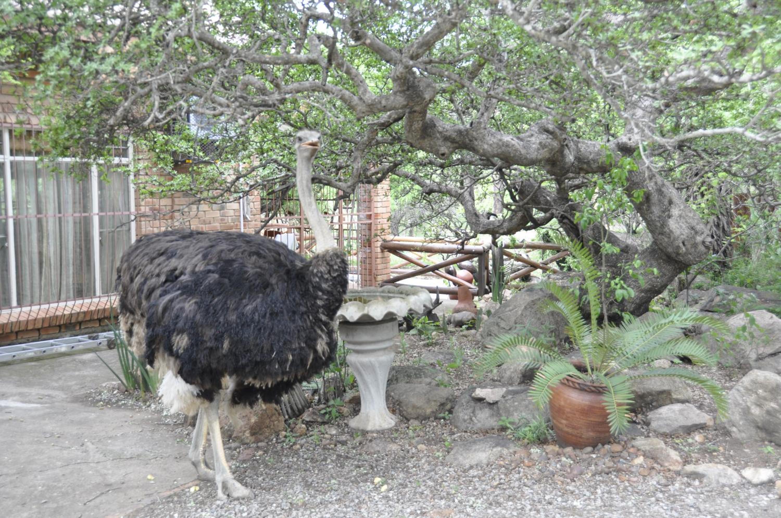 Milkwood Holiday Home