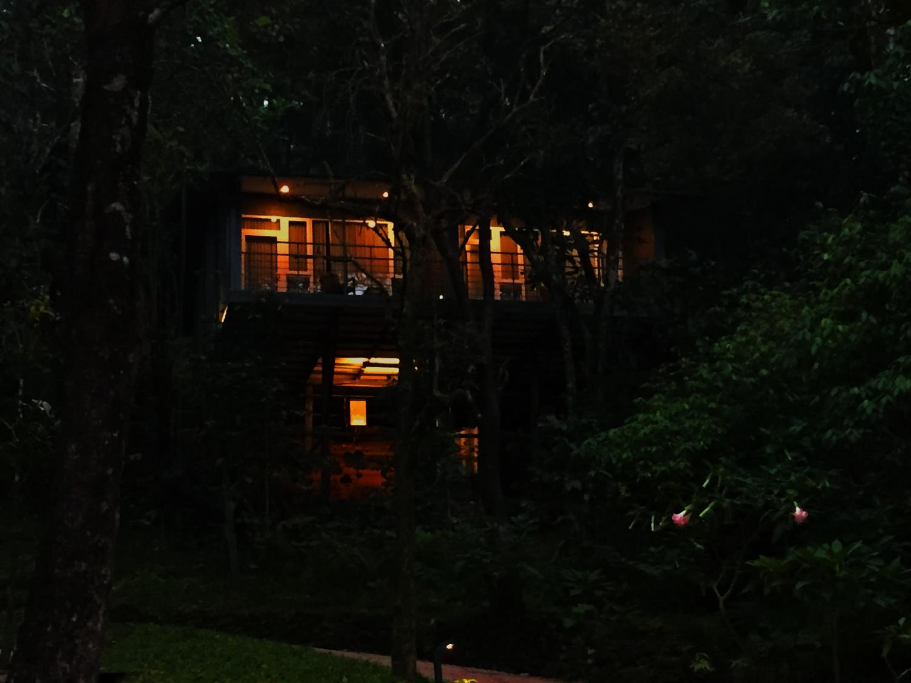 Wayanad Wild - A CGH Earth Experience