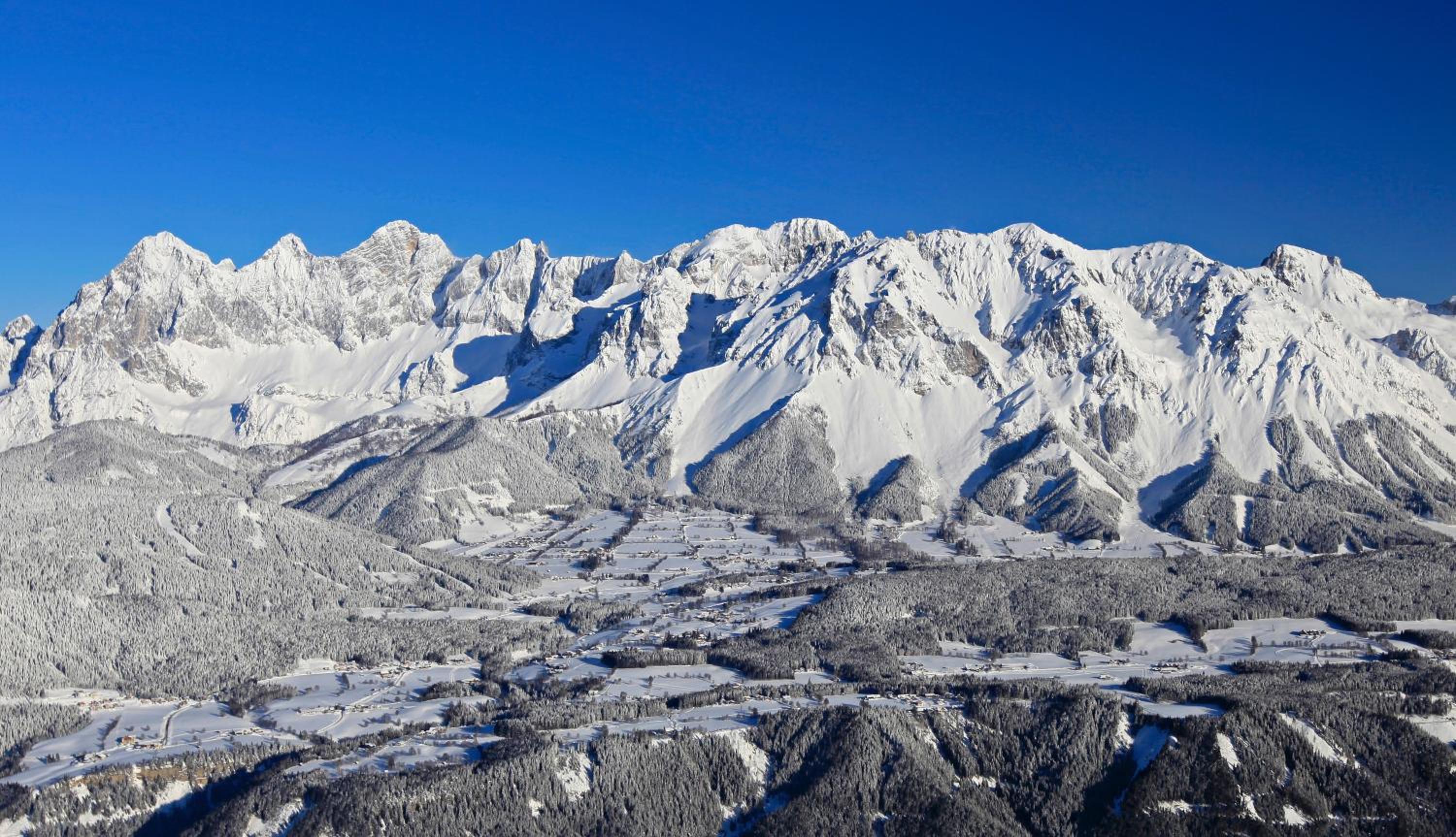Alpenperle
