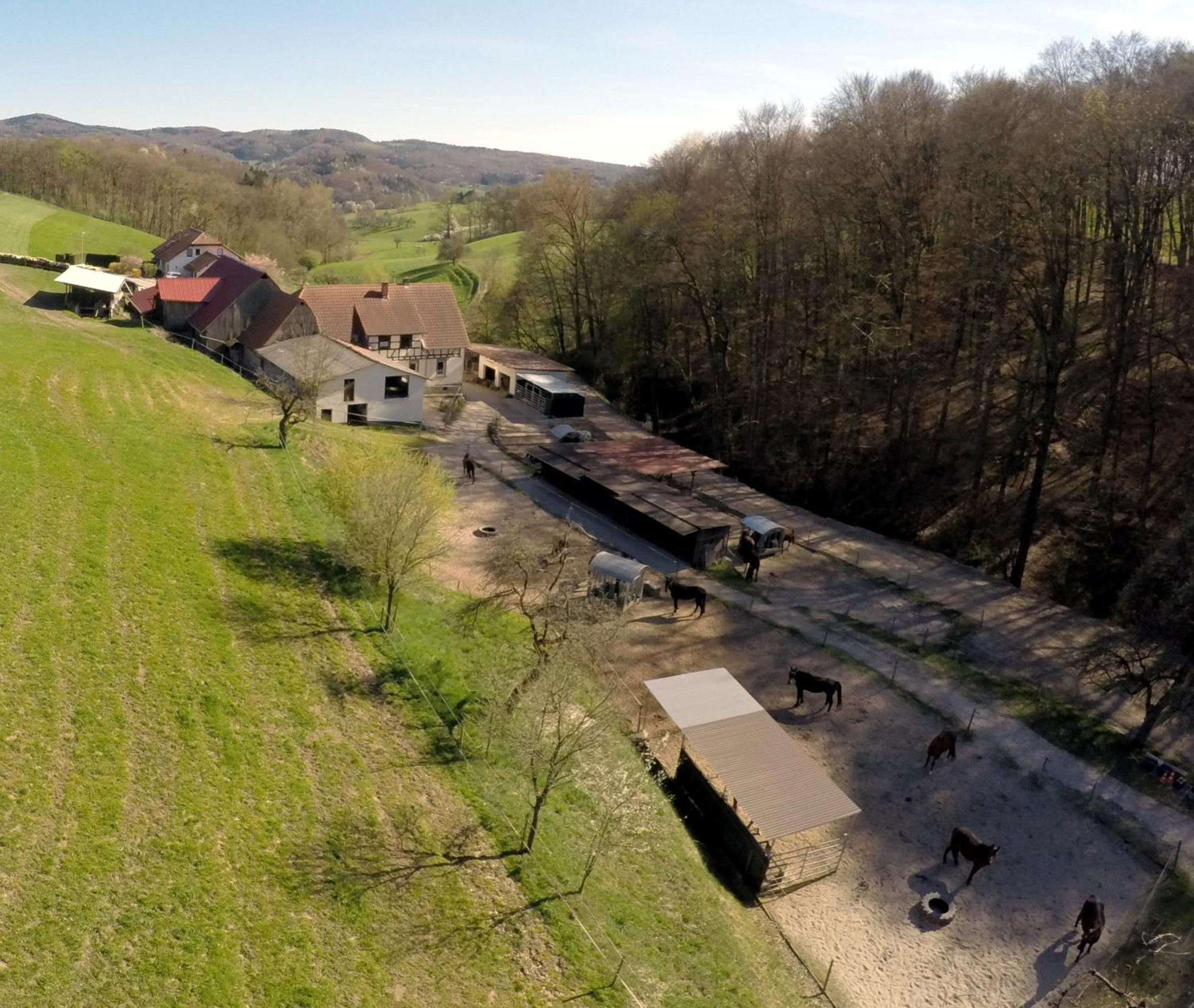Pferdehof Dörsam