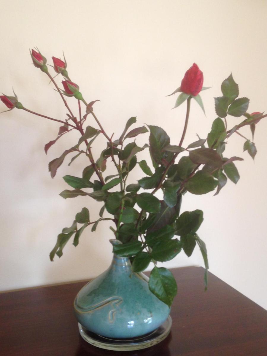 Photo 56