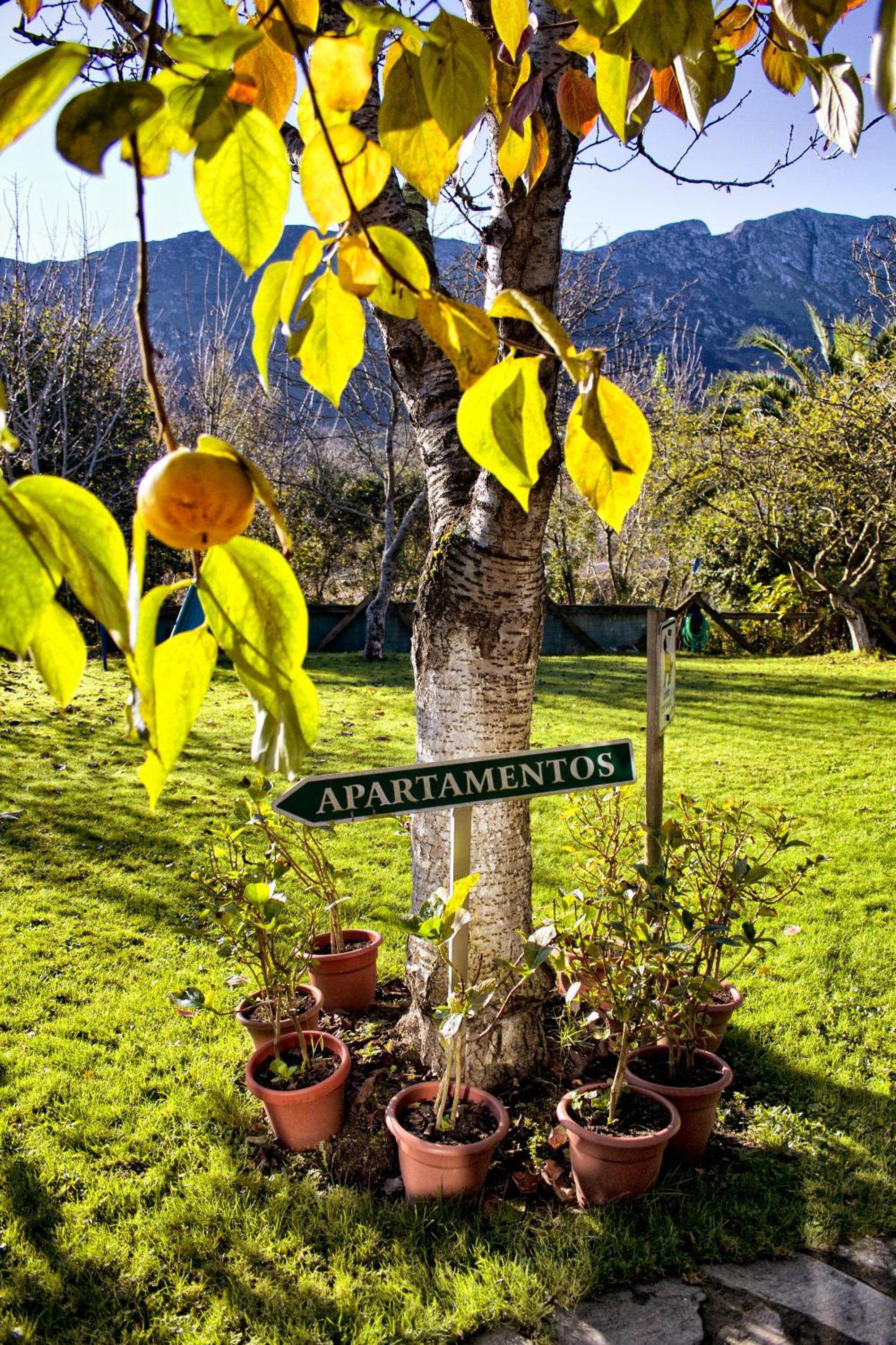 Apartamentos Rurales L'Arquera