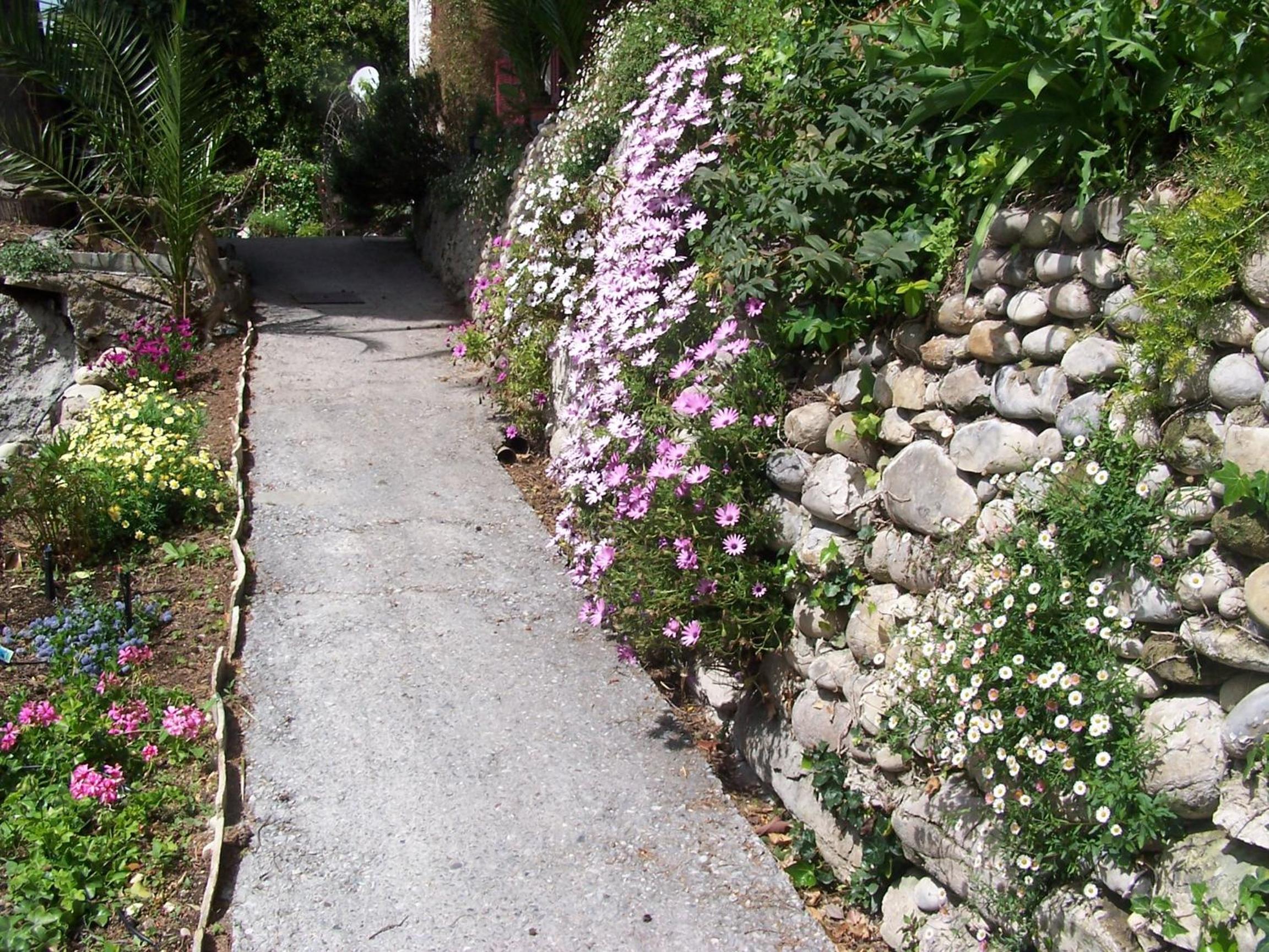 Photo 44