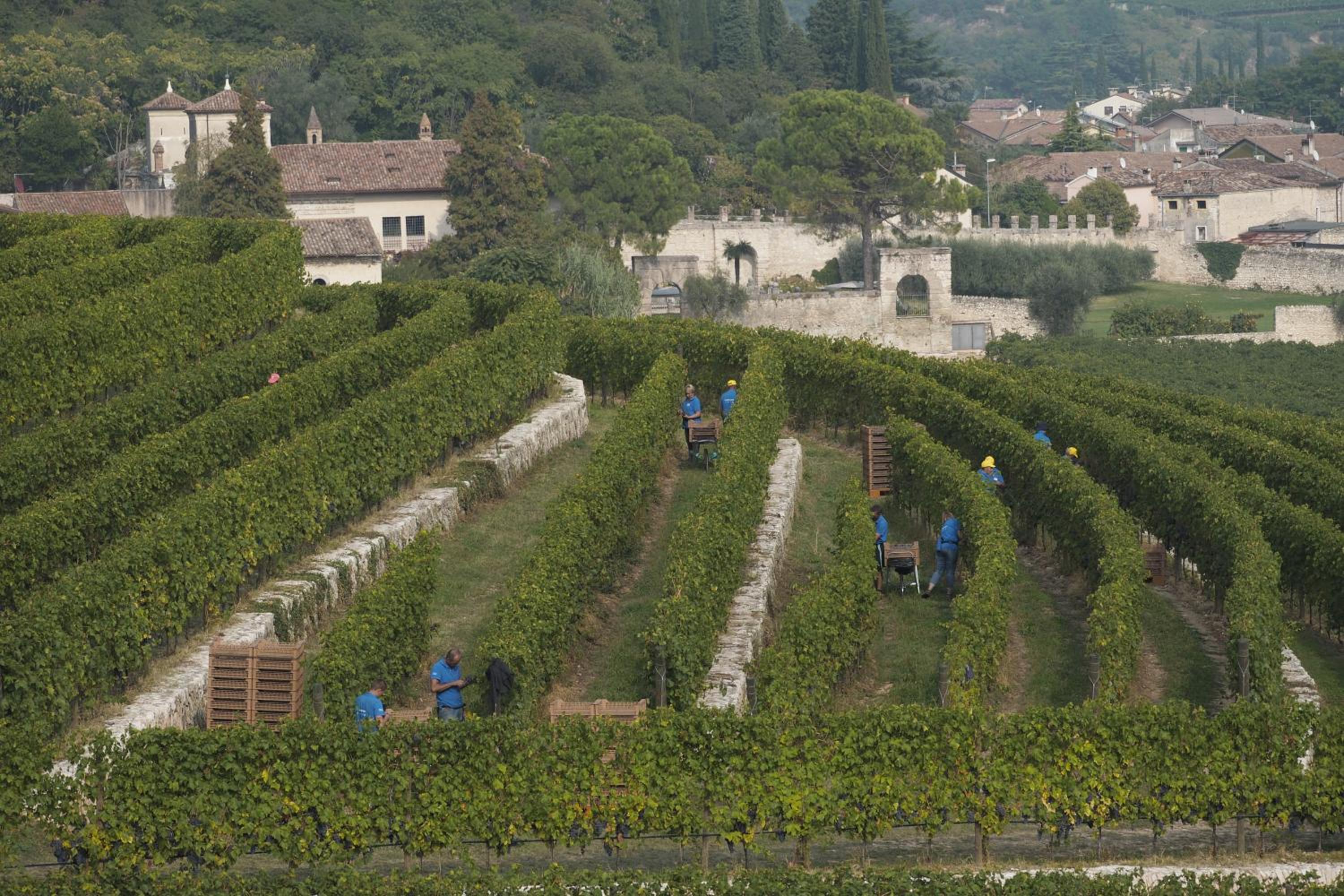 Villa Della Torre
