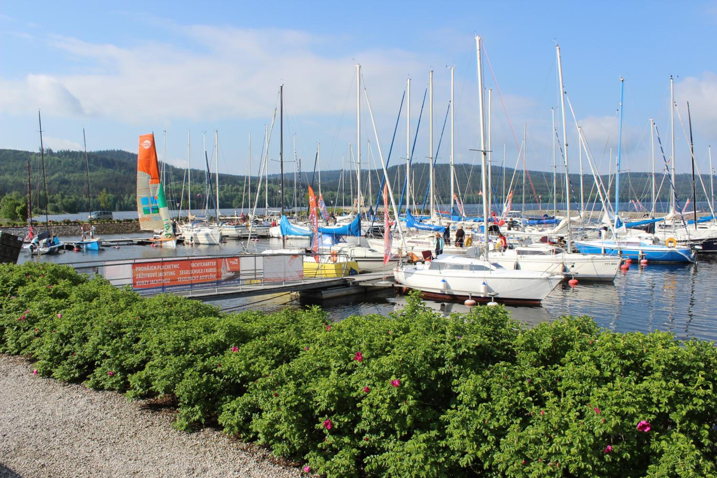 Villa Park Lipno-Lipno-In