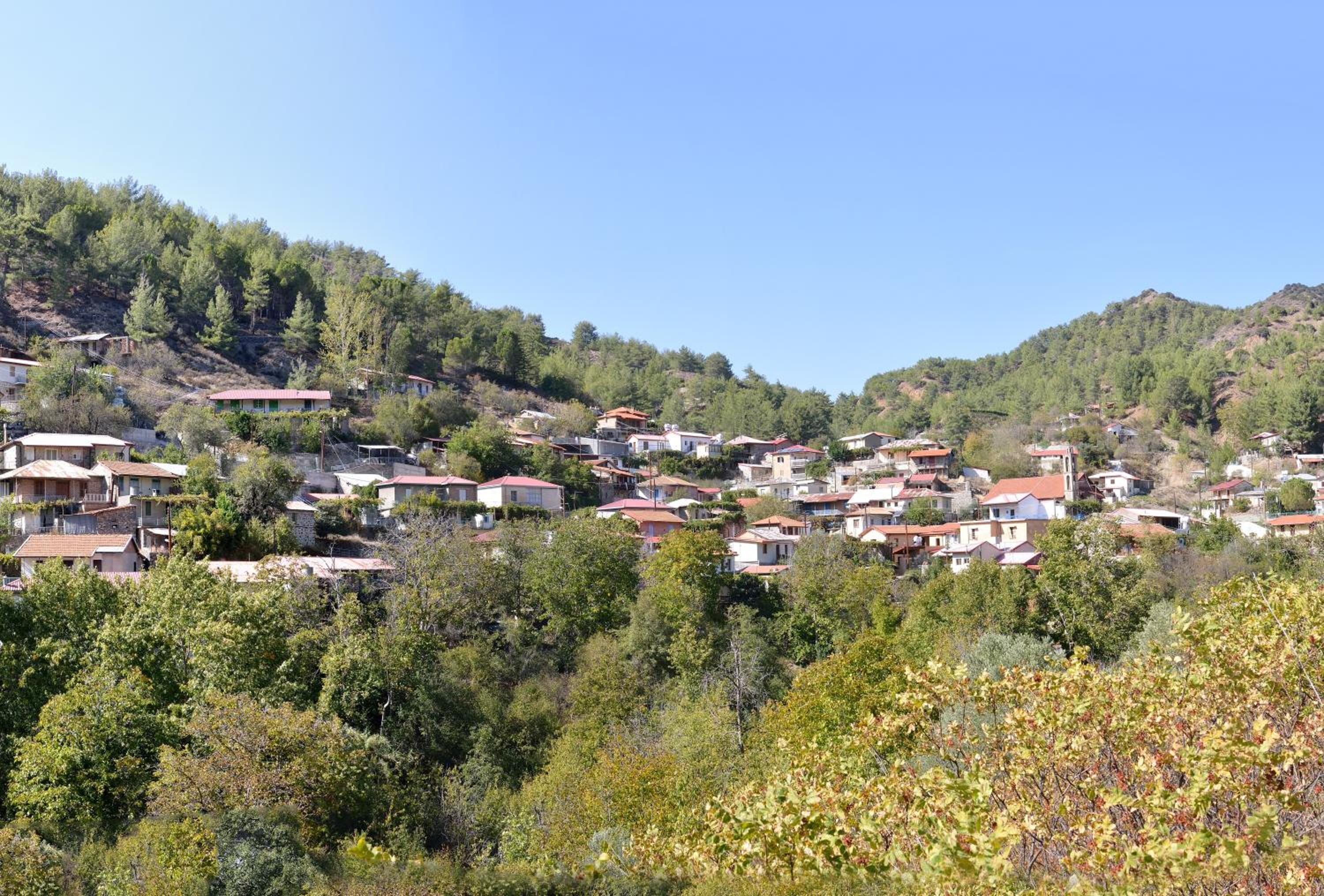 The Love Holiday House