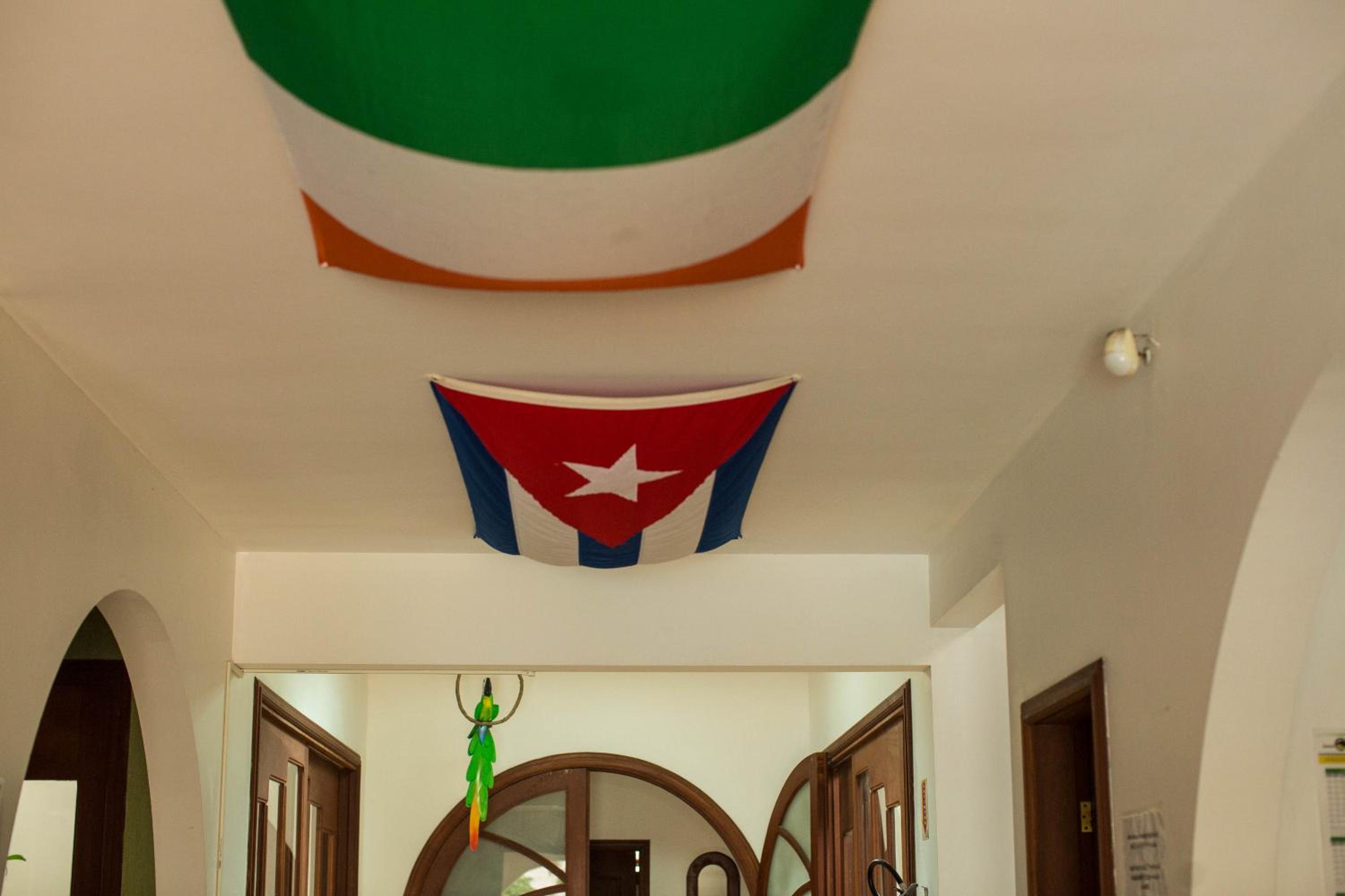 Geckos Hostel
