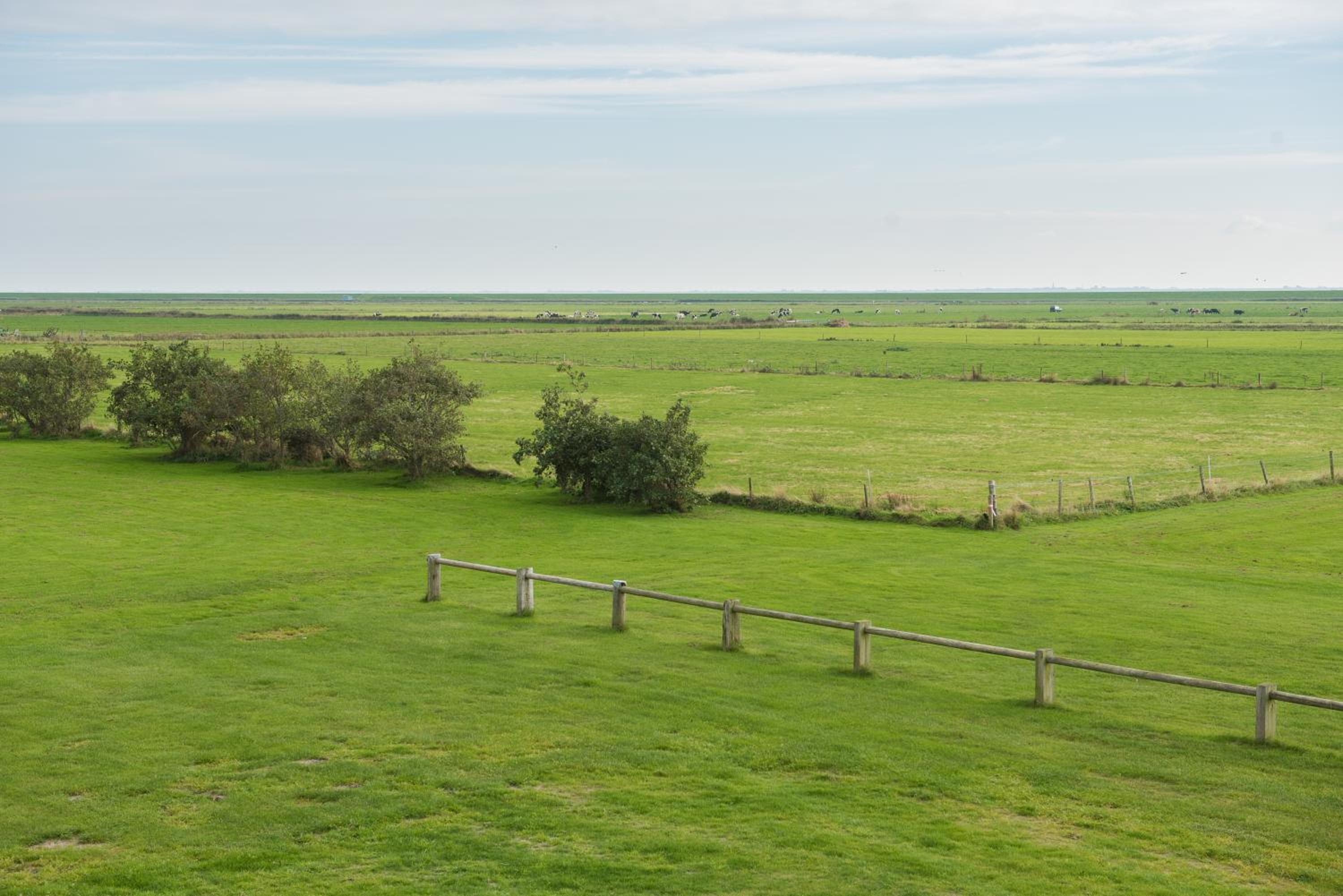 De Oranjerie view 4