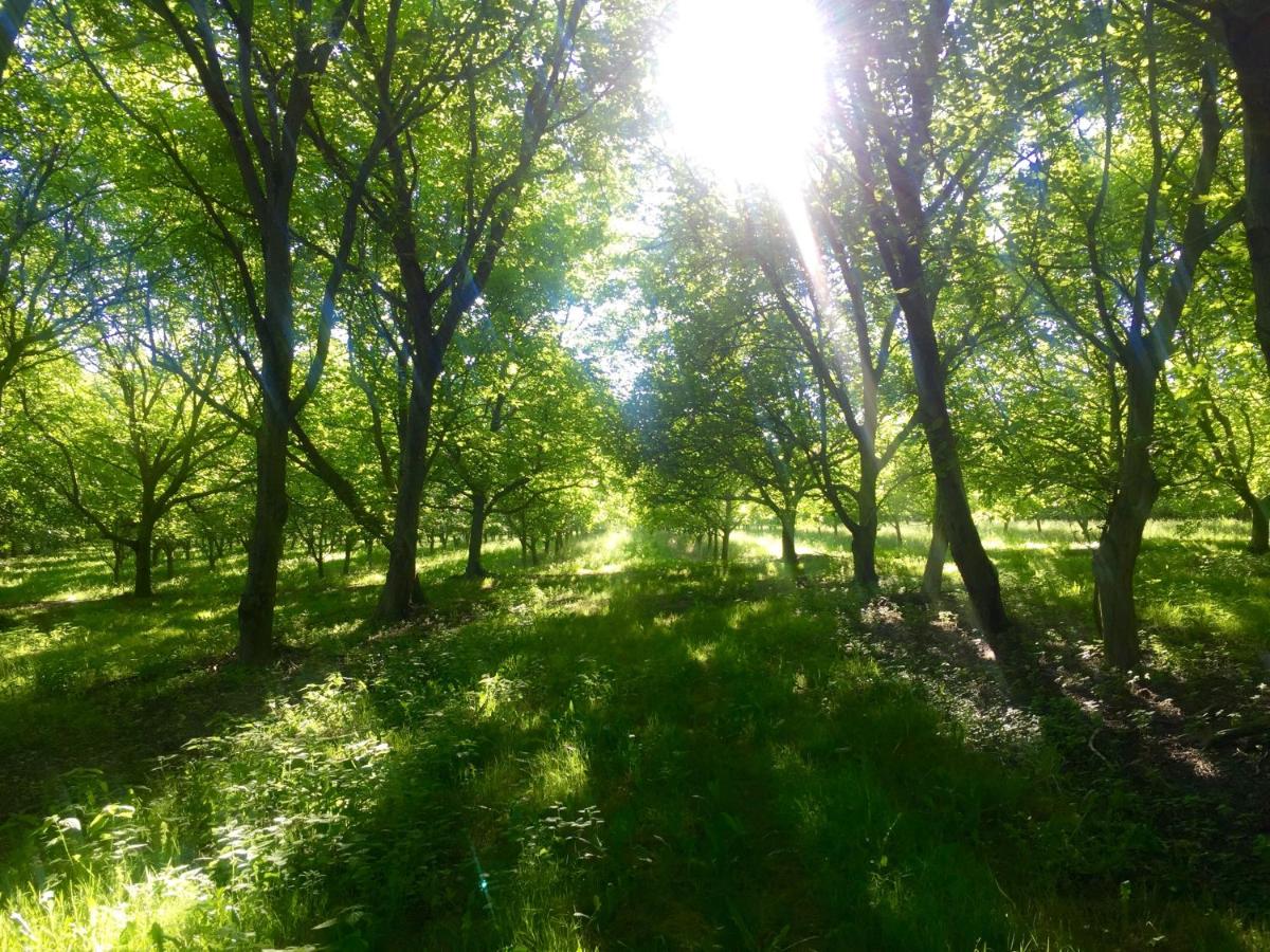 Le Chemin