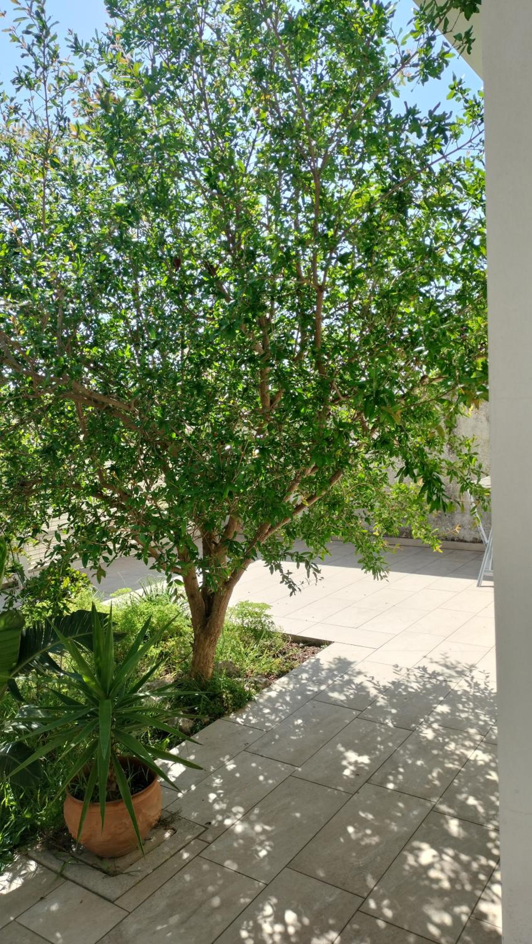 Casa Alessandra, photo 3