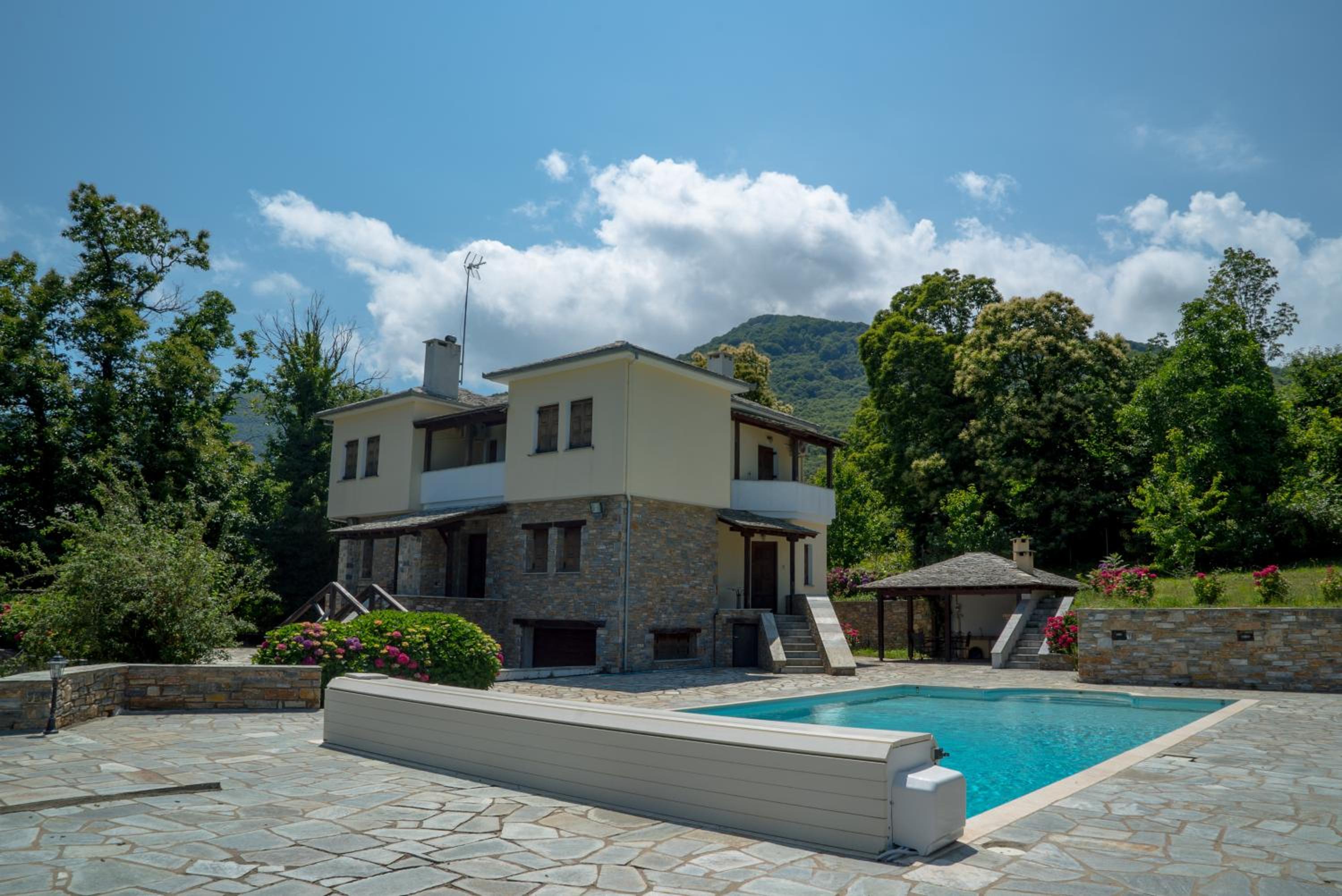 Luxury villa with pool in Tsagarada view 2