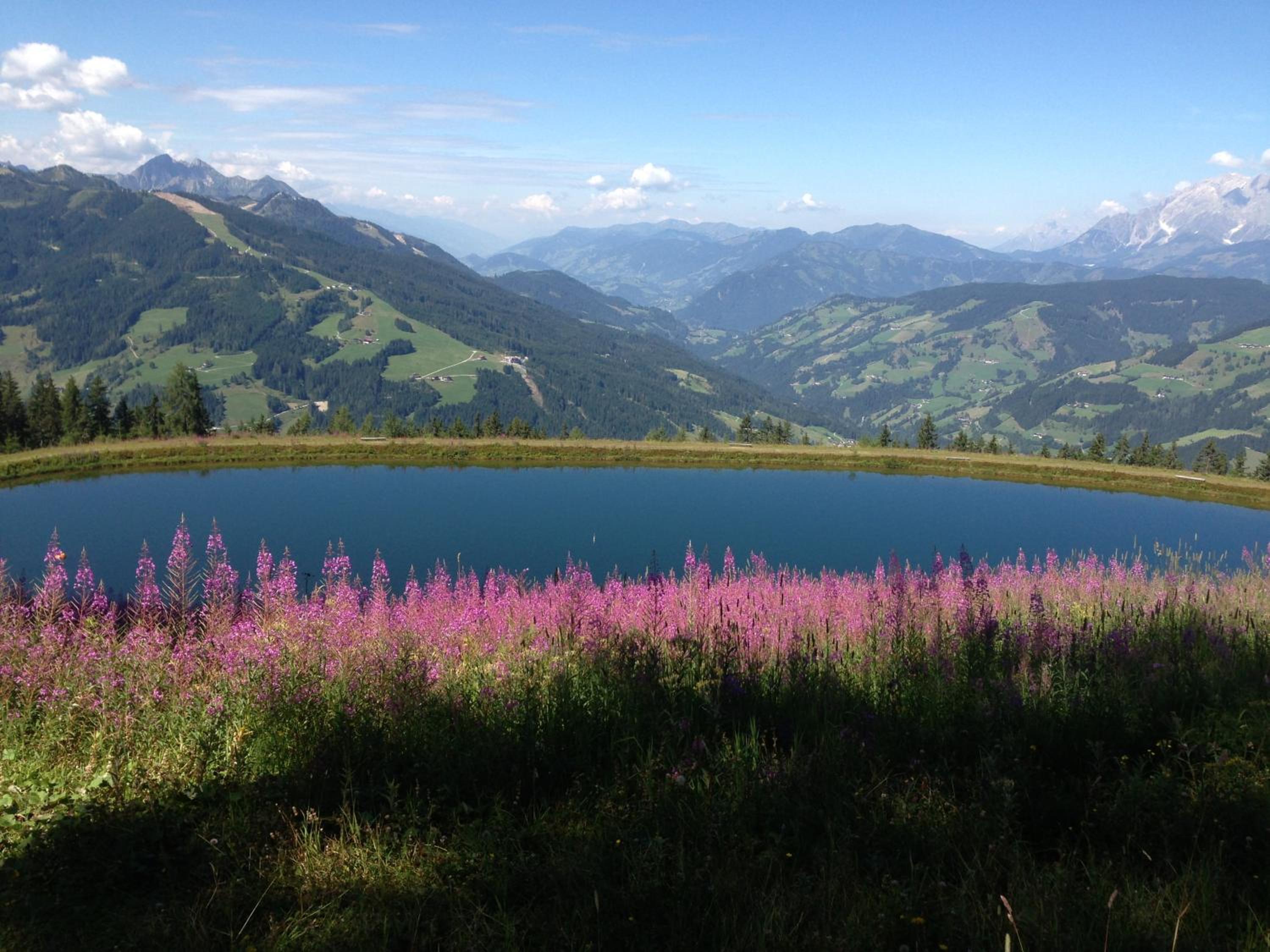 Photo 44