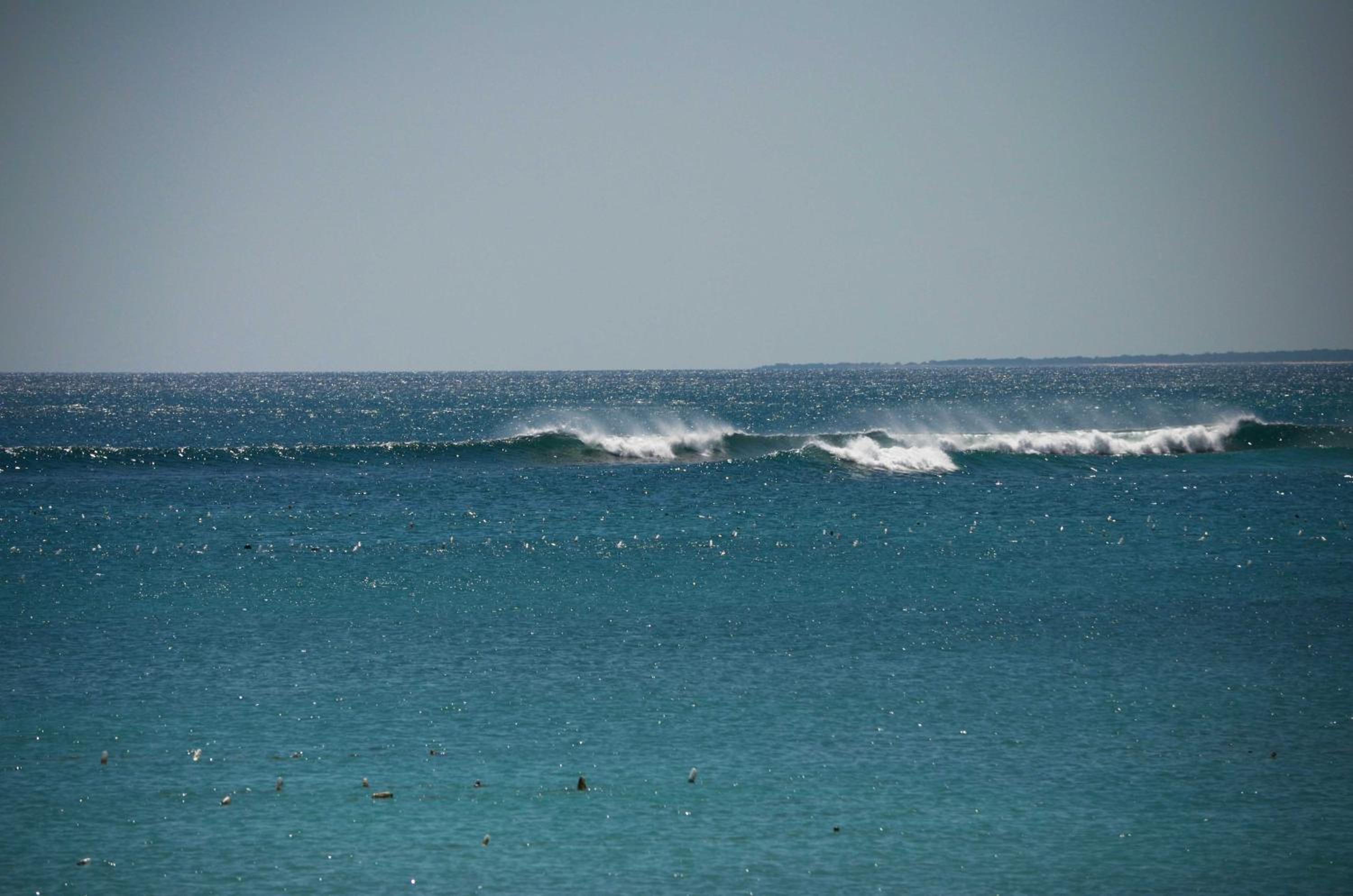 Photo 40