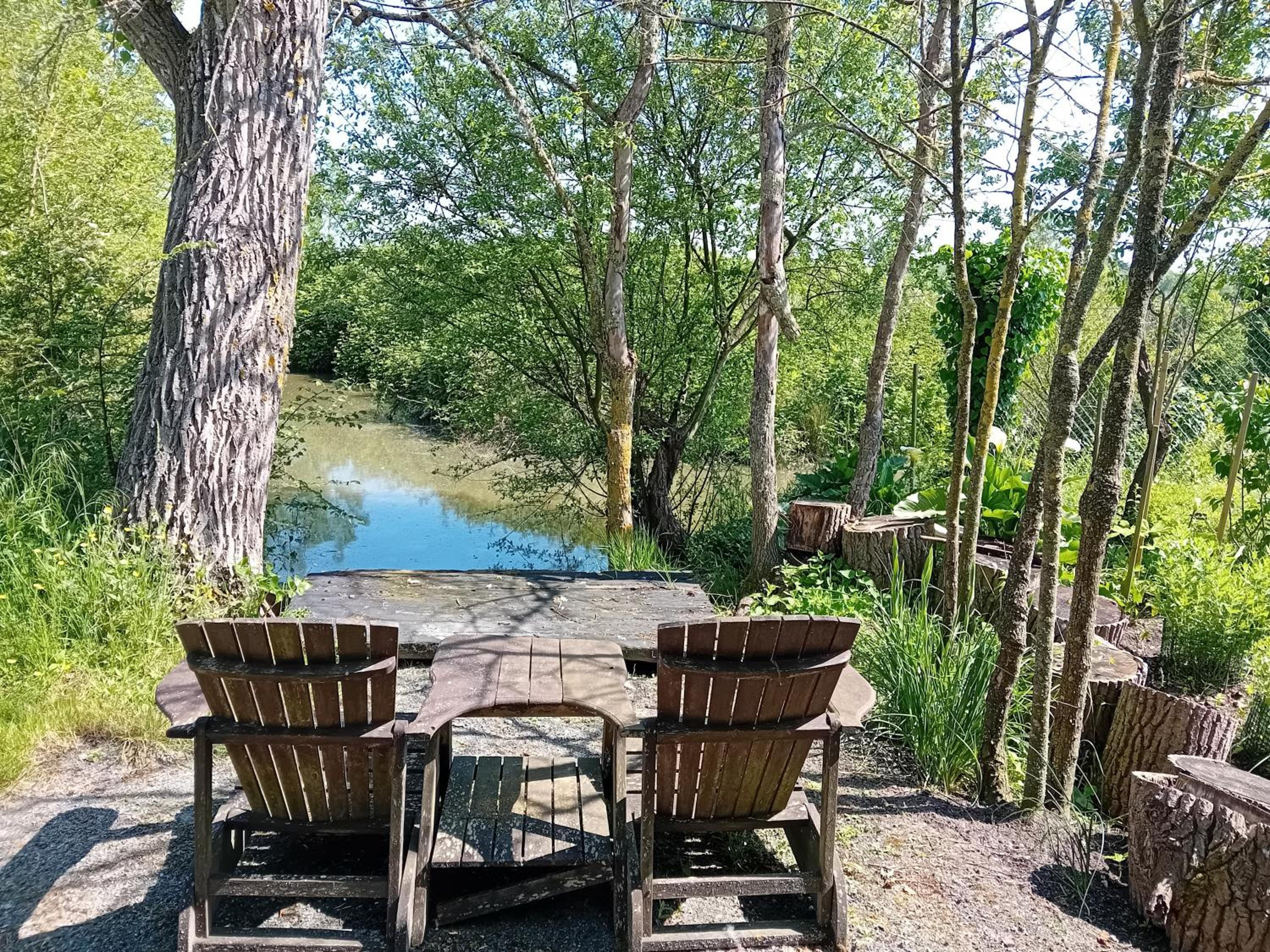 Auberge BonBeauJoli, photo 21