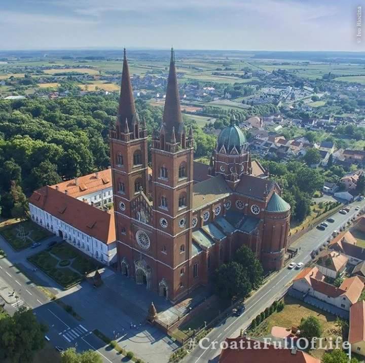 Photo 61