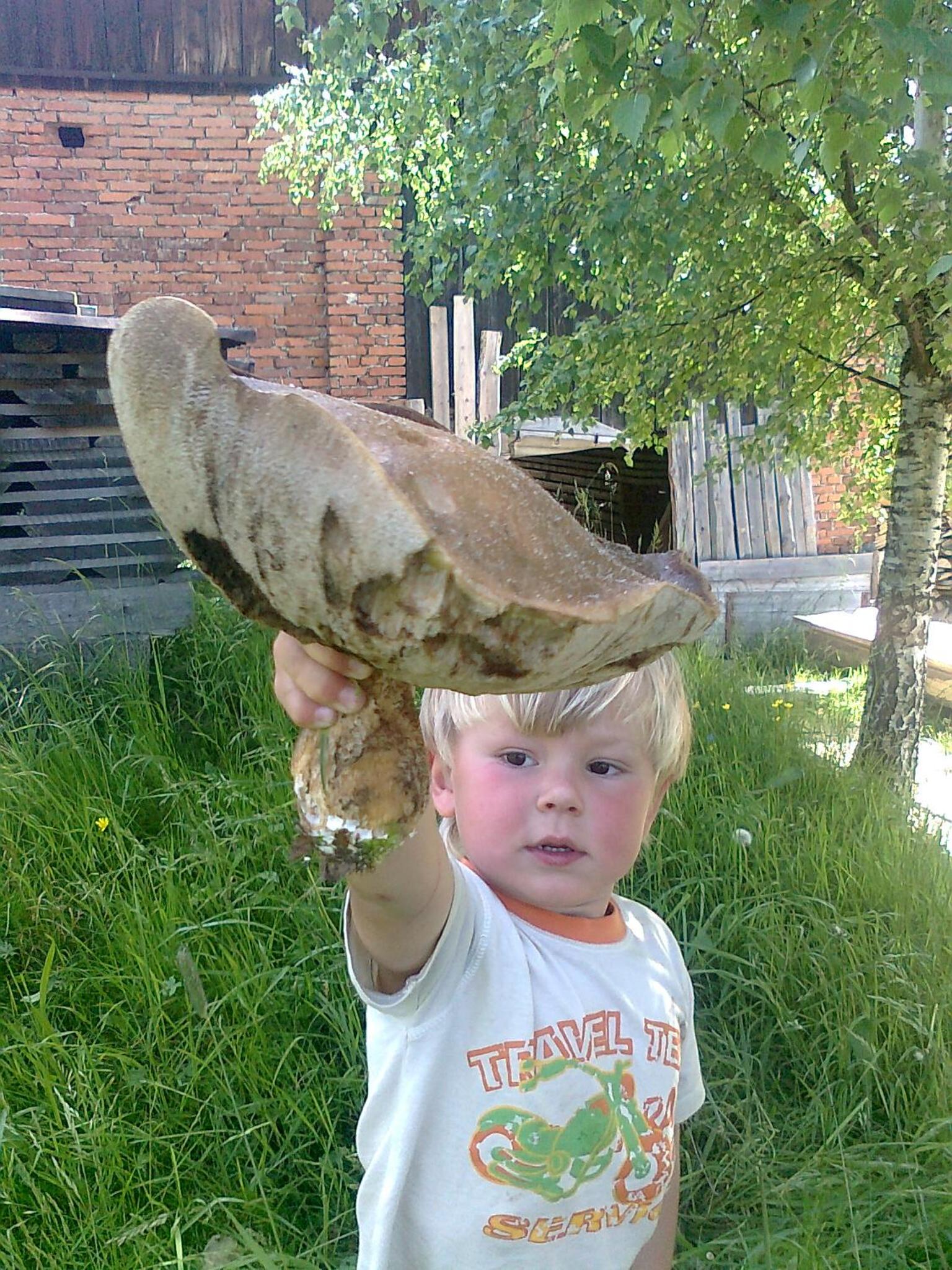 Photo 10