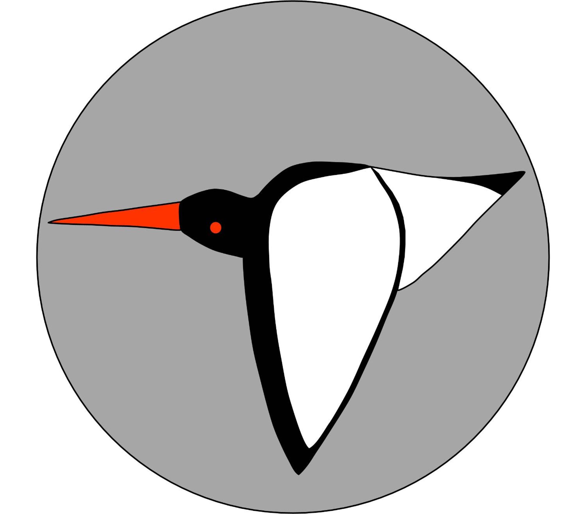 Oystercatcher